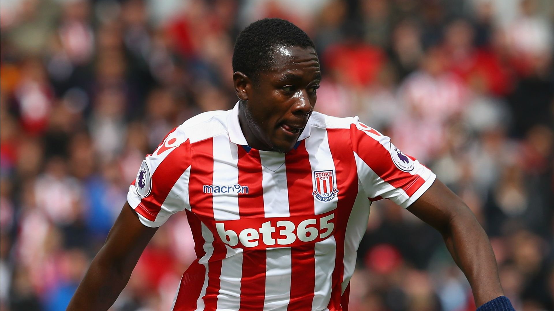 Giannelli Imbula Stoke City