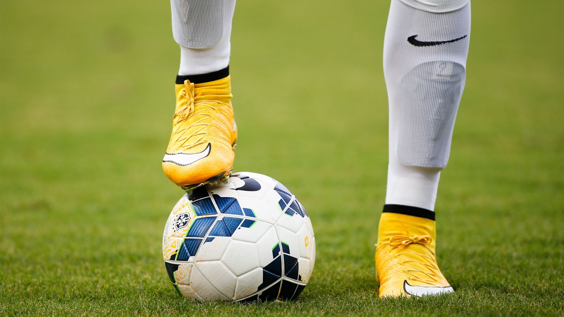 Leandro Damião Santos 23 11 2014