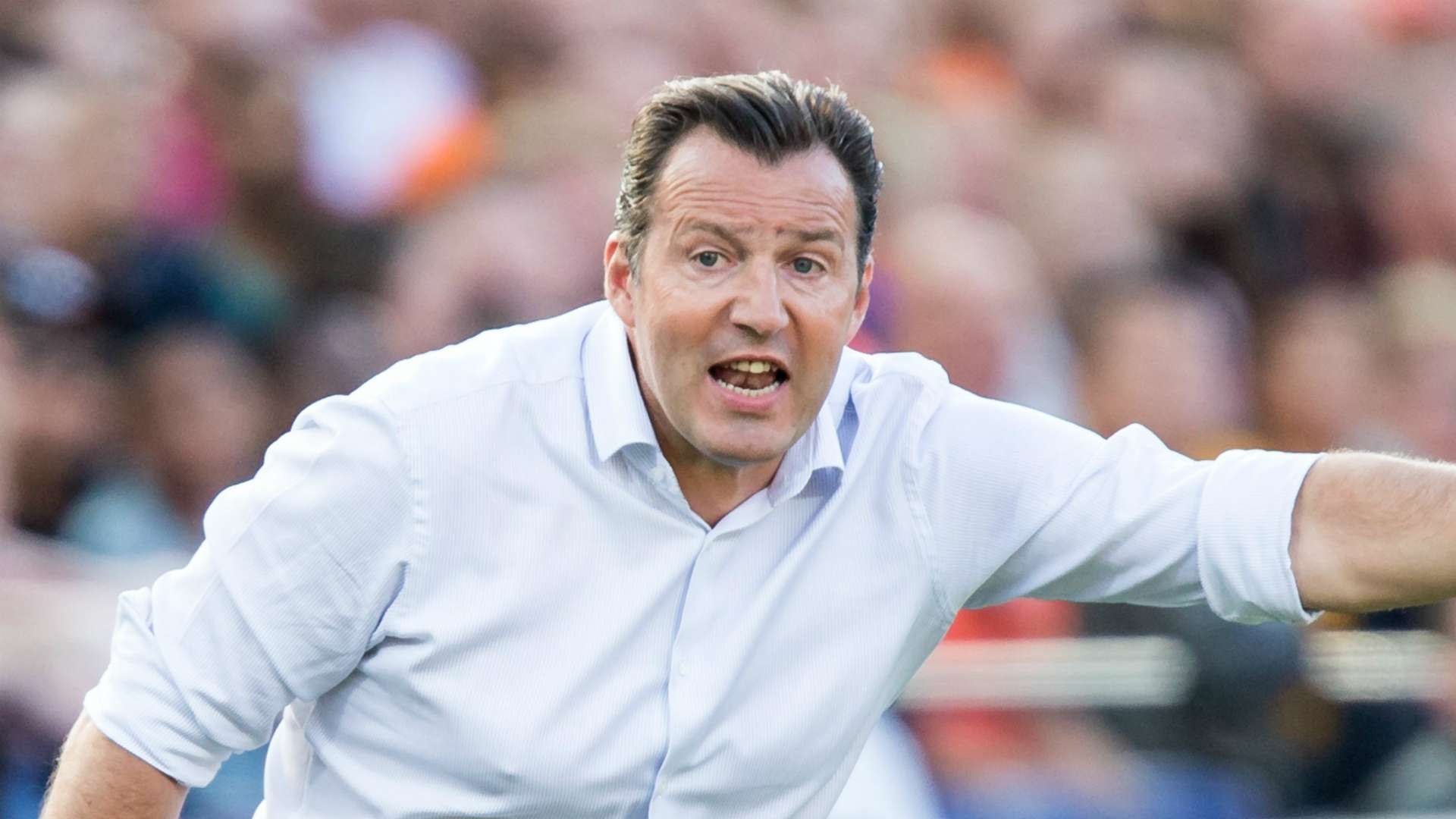 Marc Wilmots, Netherlands - Ivory Coast, 06042017