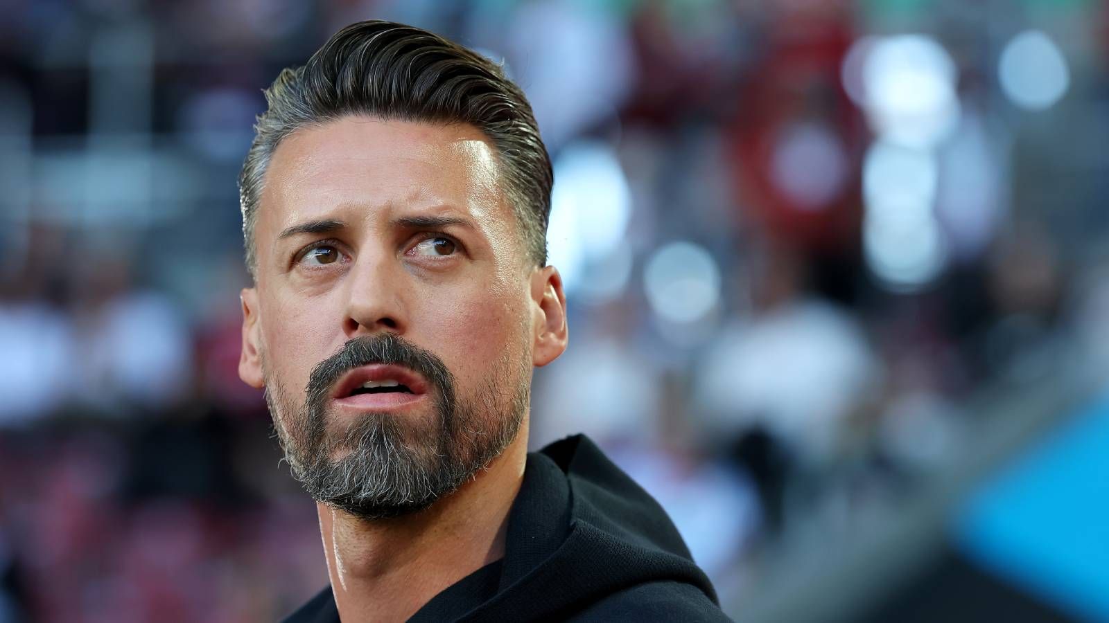 Sandro Wagner