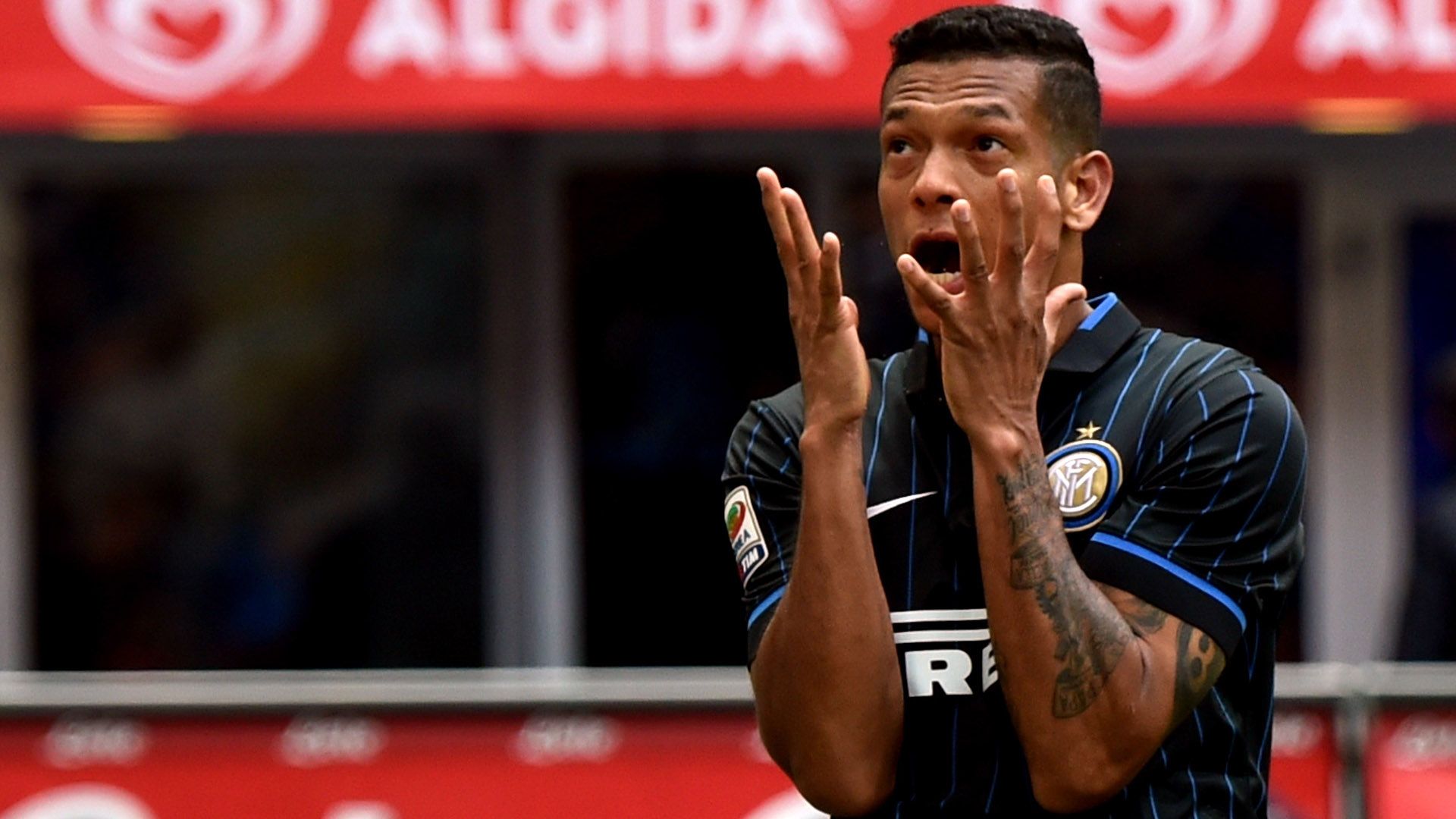Fredy Guarin Inter