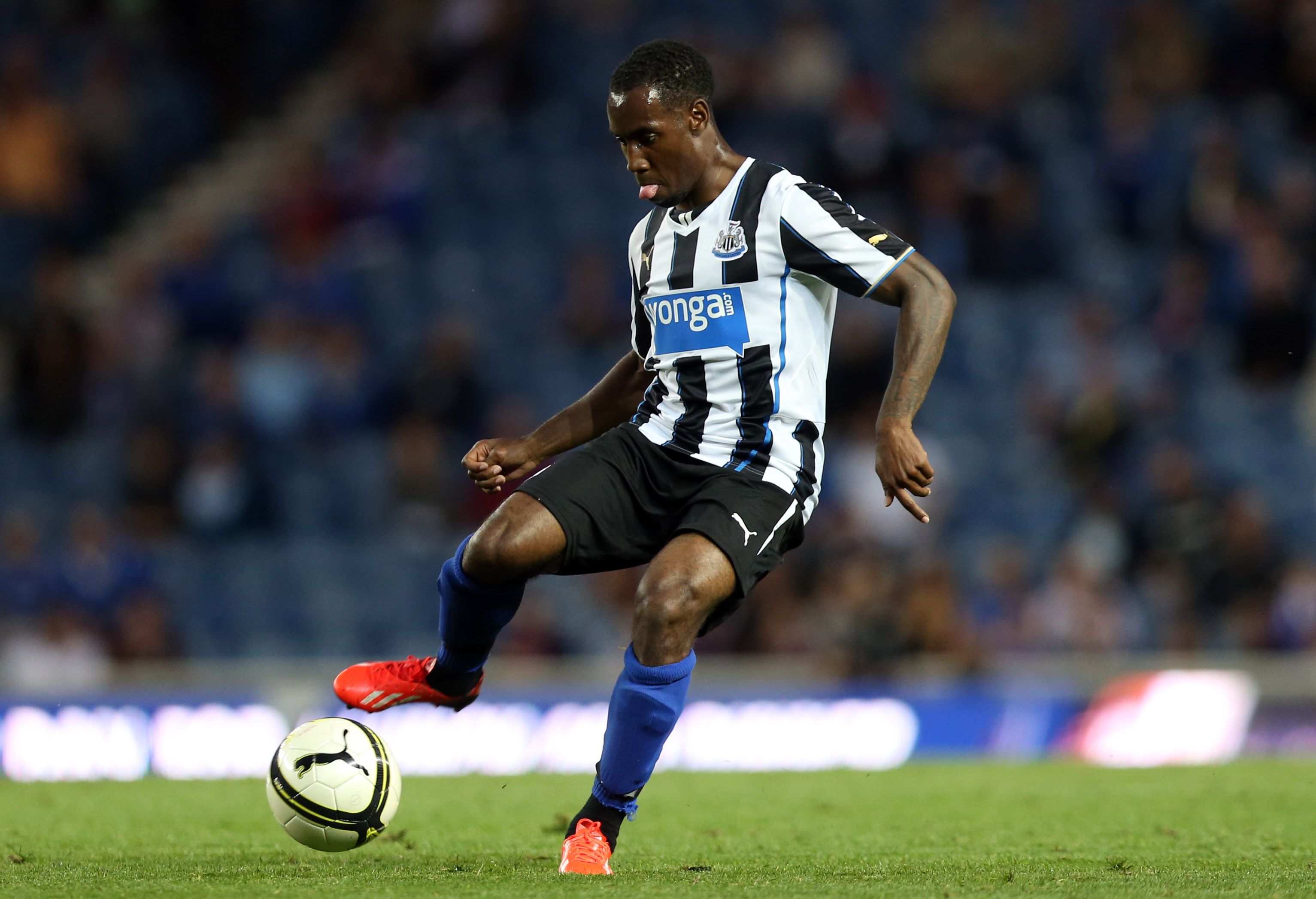 Newcastle's Vurnon Anita