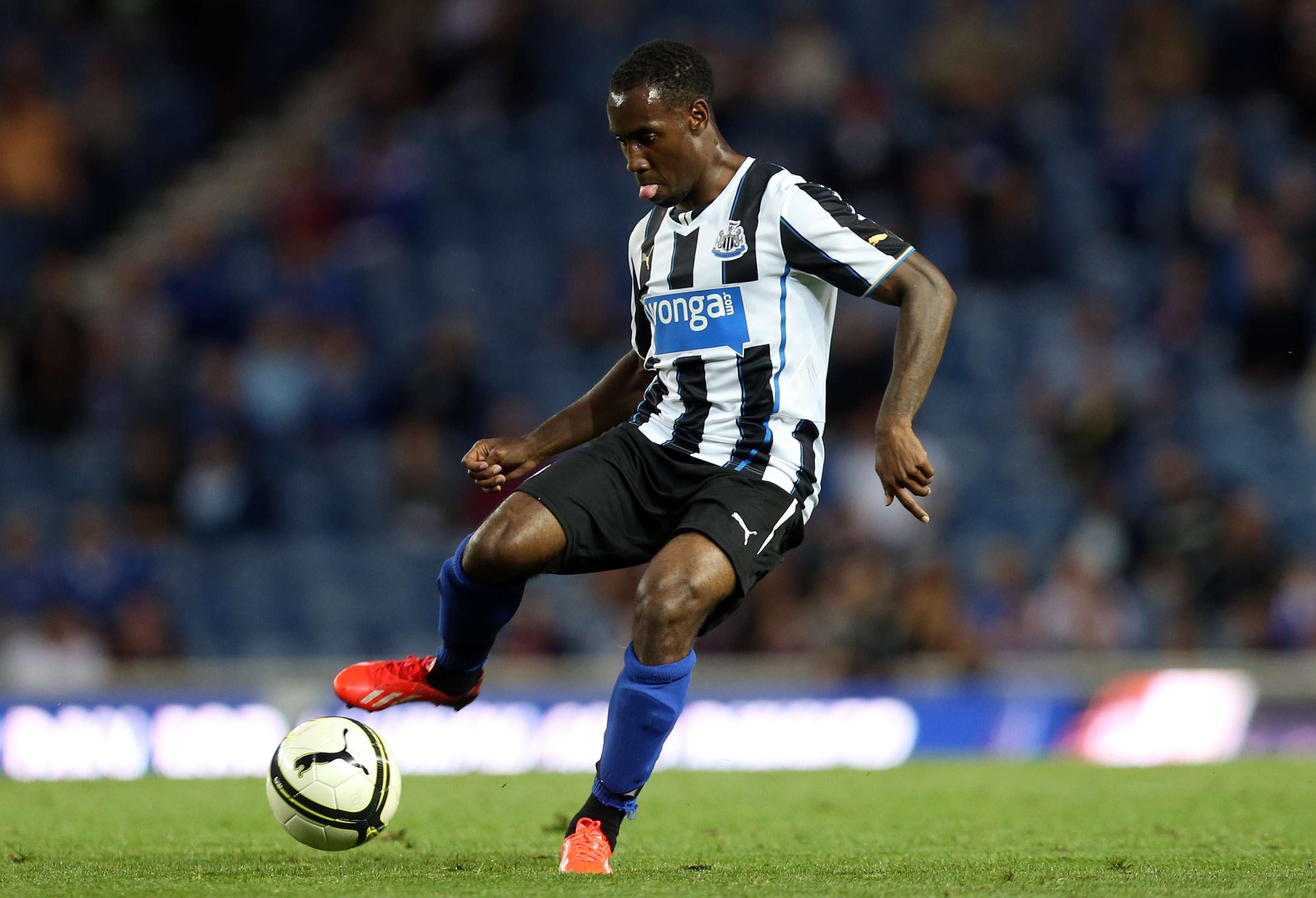 Newcastle's Vurnon Anita