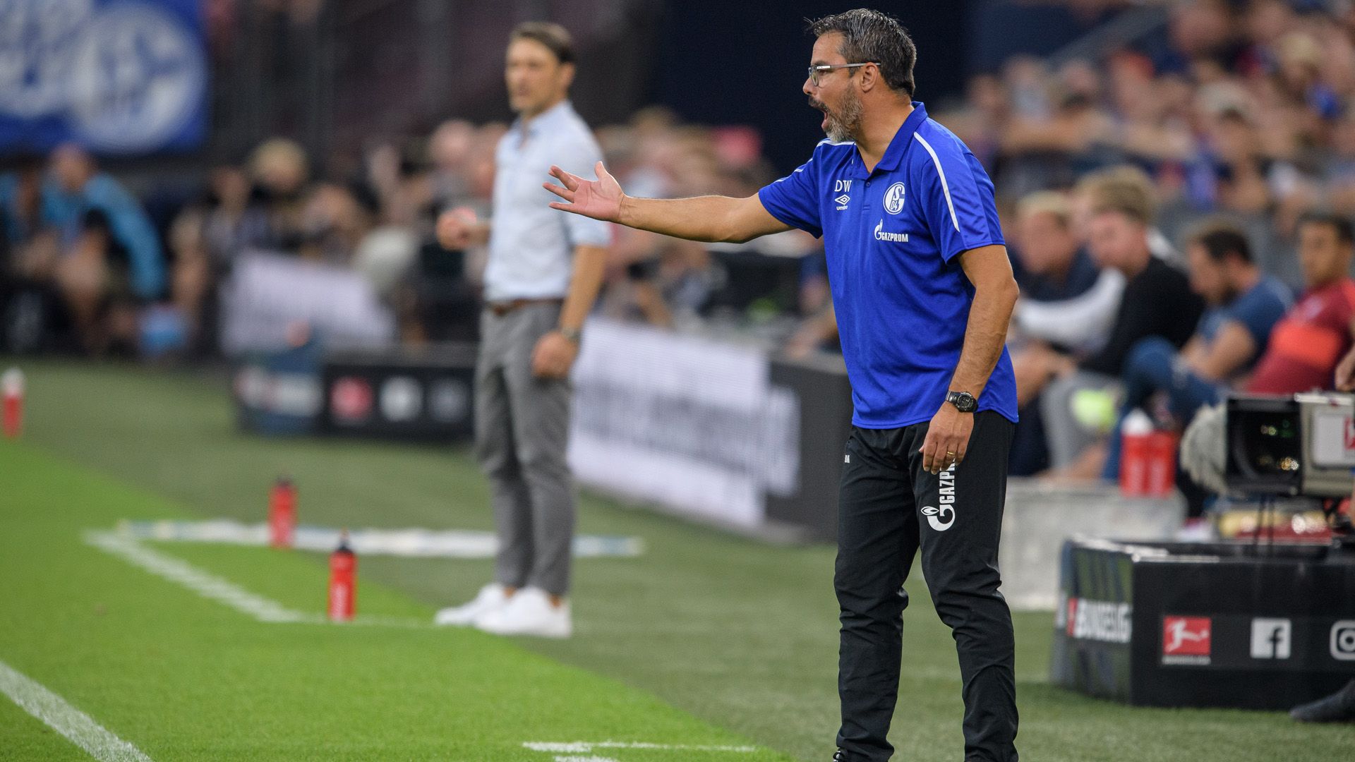 David Wagner Schalke Bayern