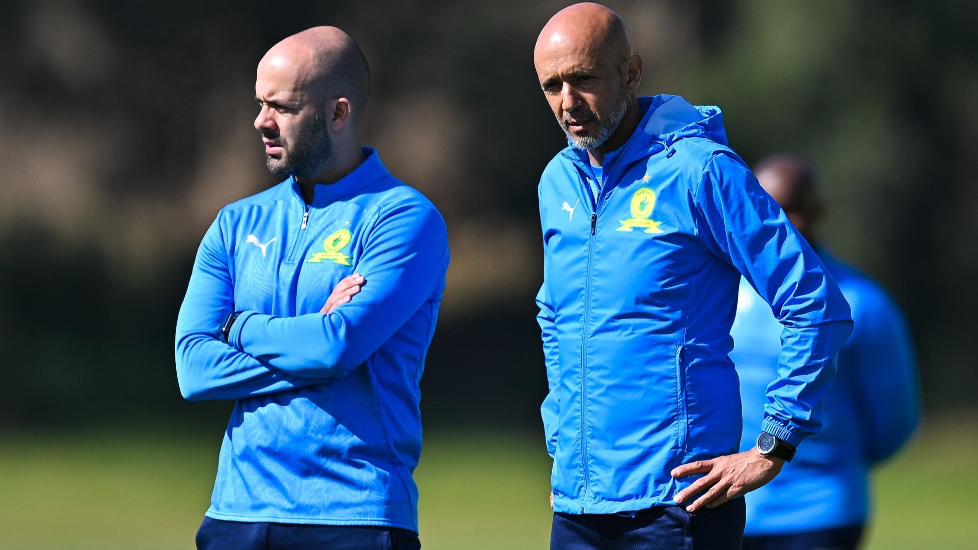 Miguel Cardoso, Mamelodi Sundowns