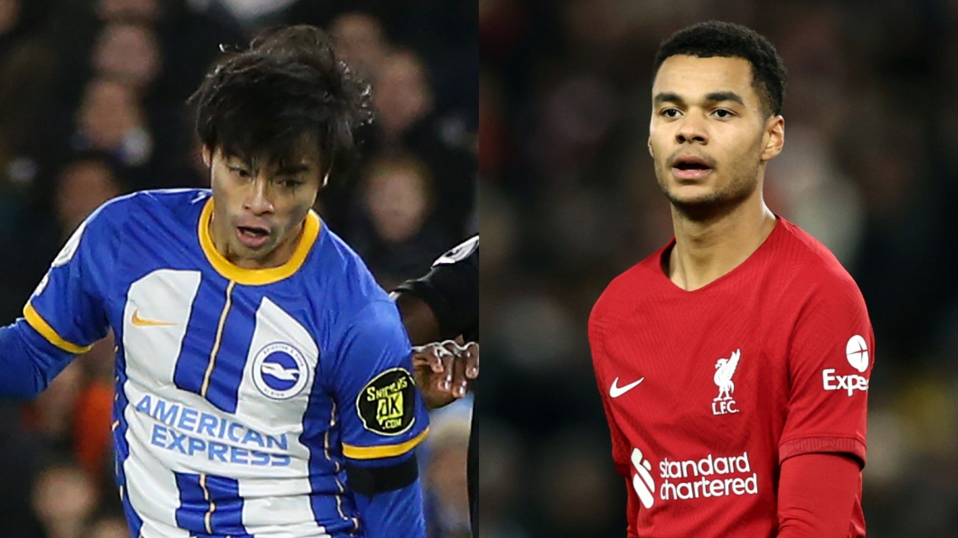 MP_mitoma_brighton vs gakpo_liverpool