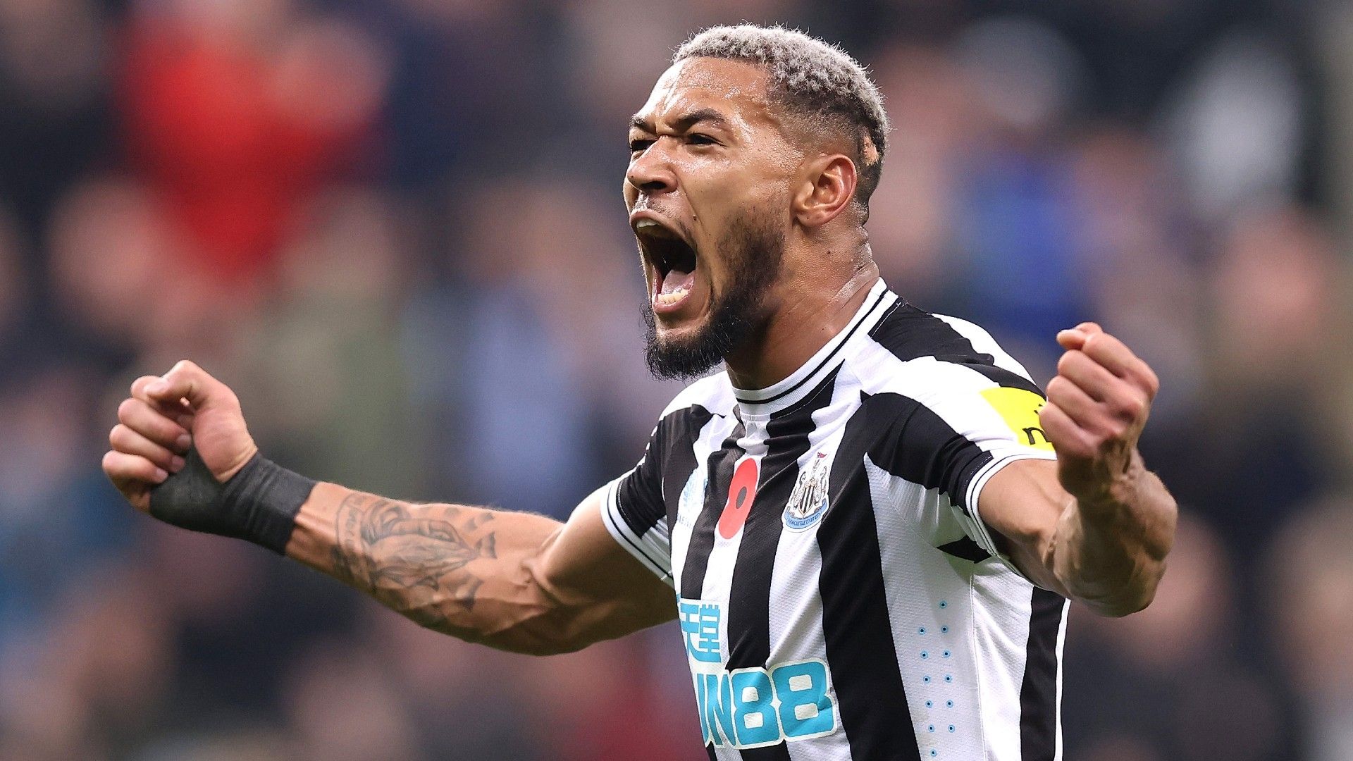 Joelinton Newcastle 2022-23