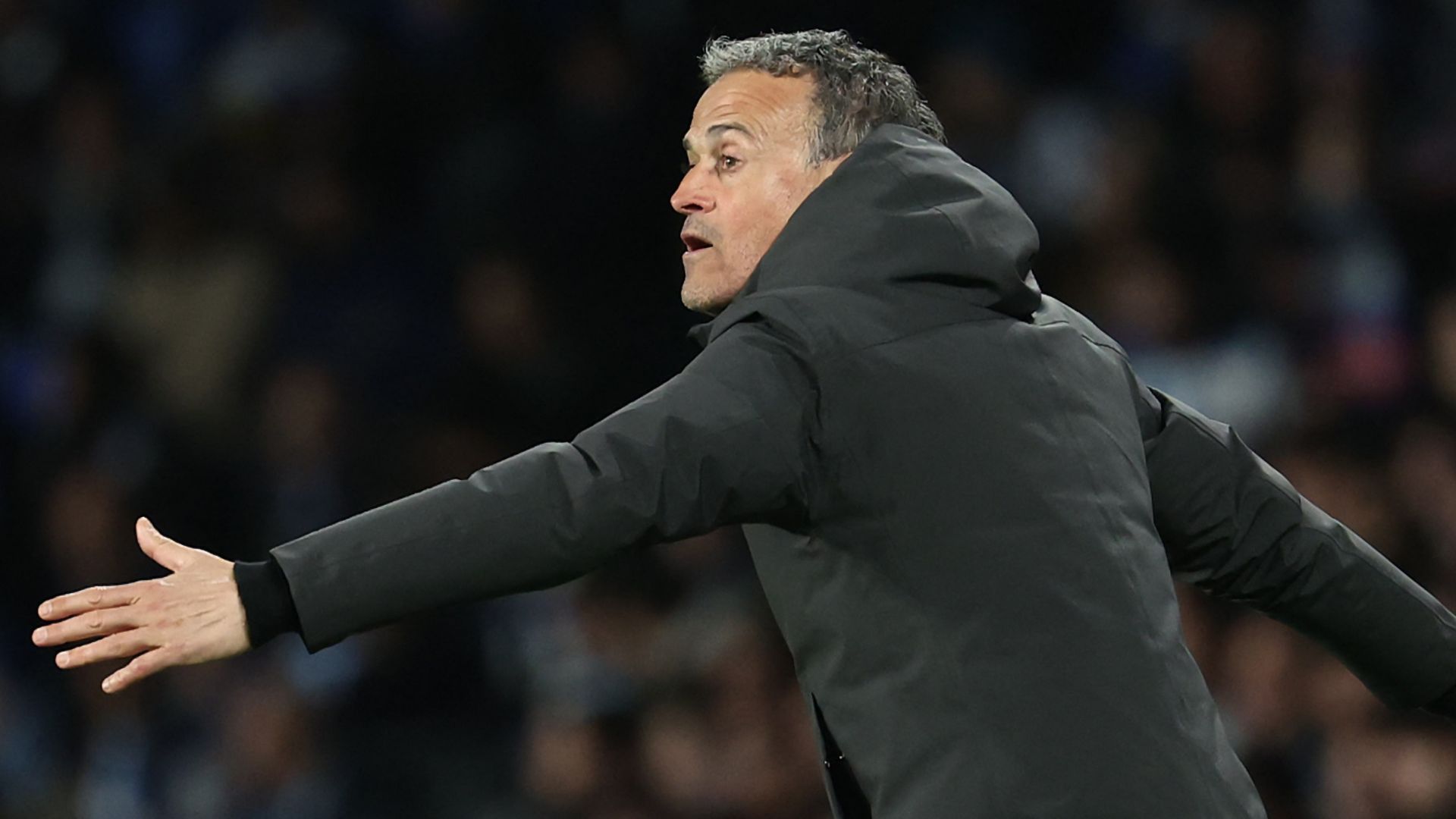 Luis Enrique 2023-24 PSG