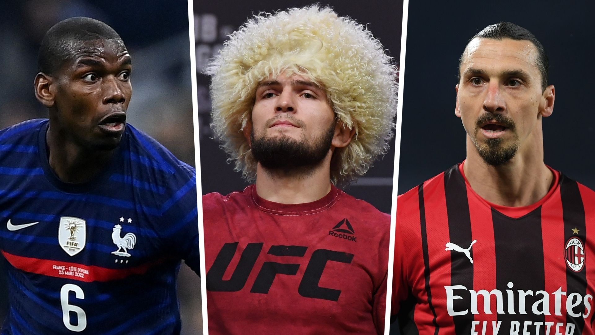 Pogba Khabib Ibrahimovic