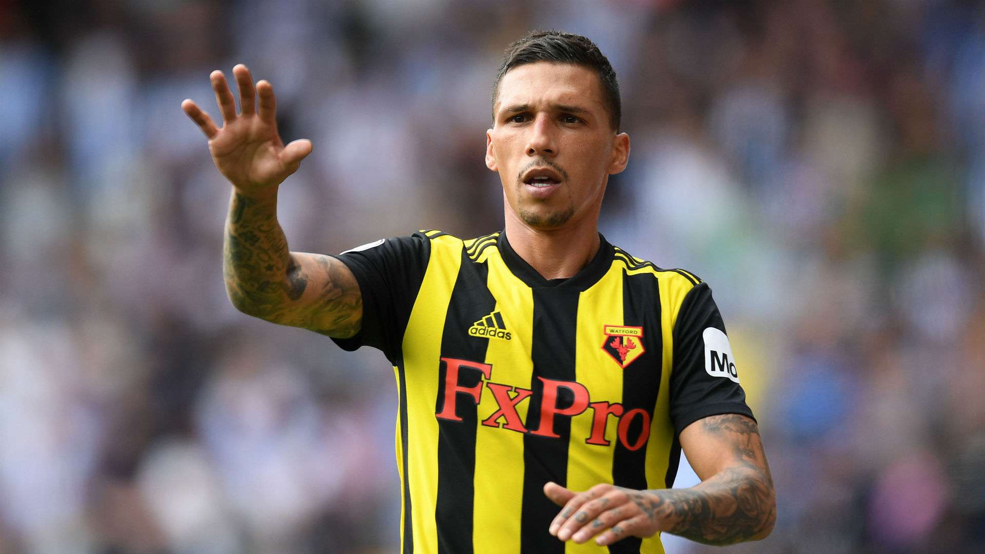 HD Holebas