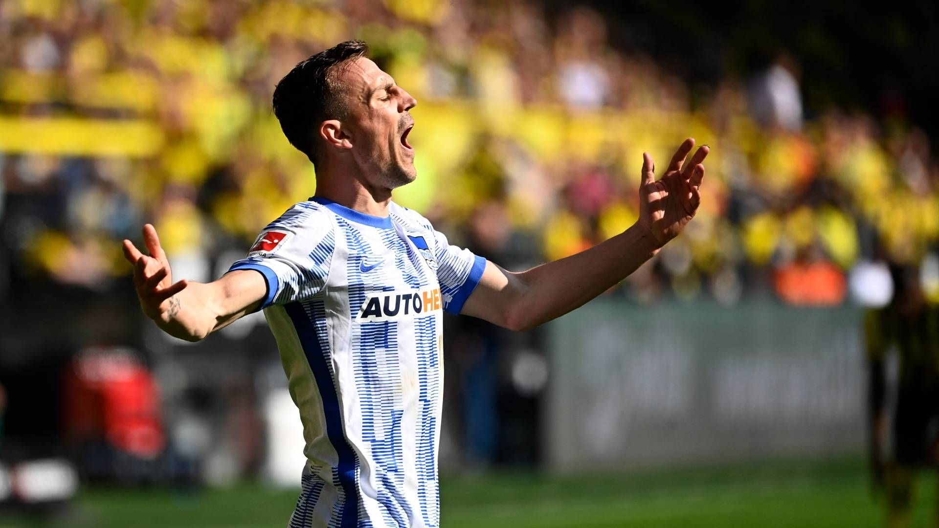 Vladimir Darida Hertha BSC