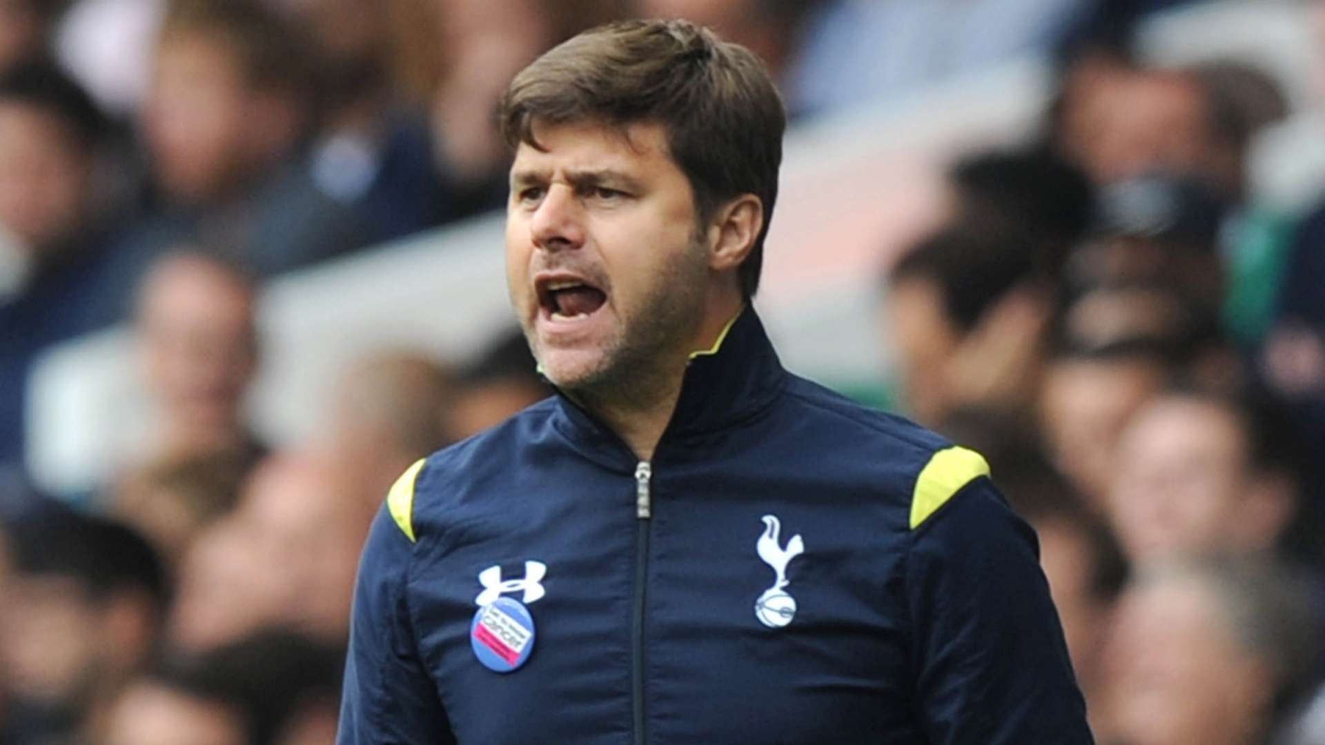 Mauricio Pochettino, Tottenham