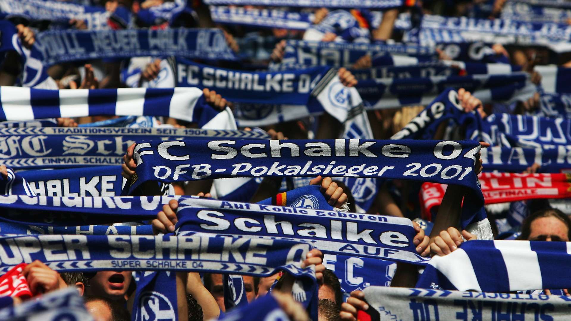 Schalke 04 Fans