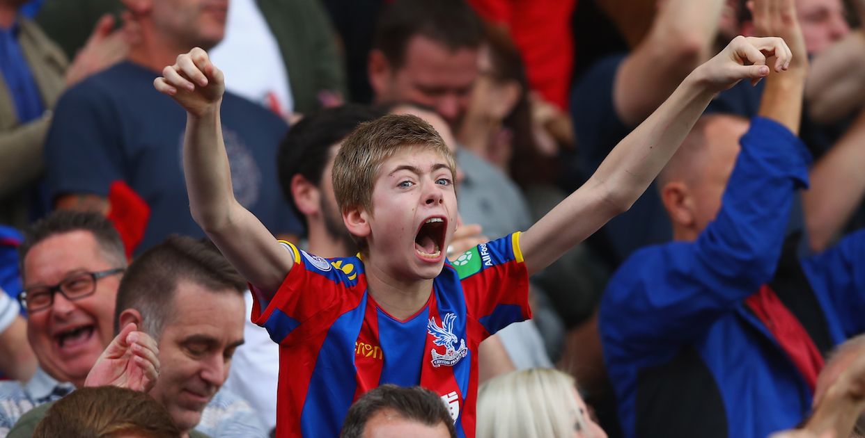Crystal Palace fans