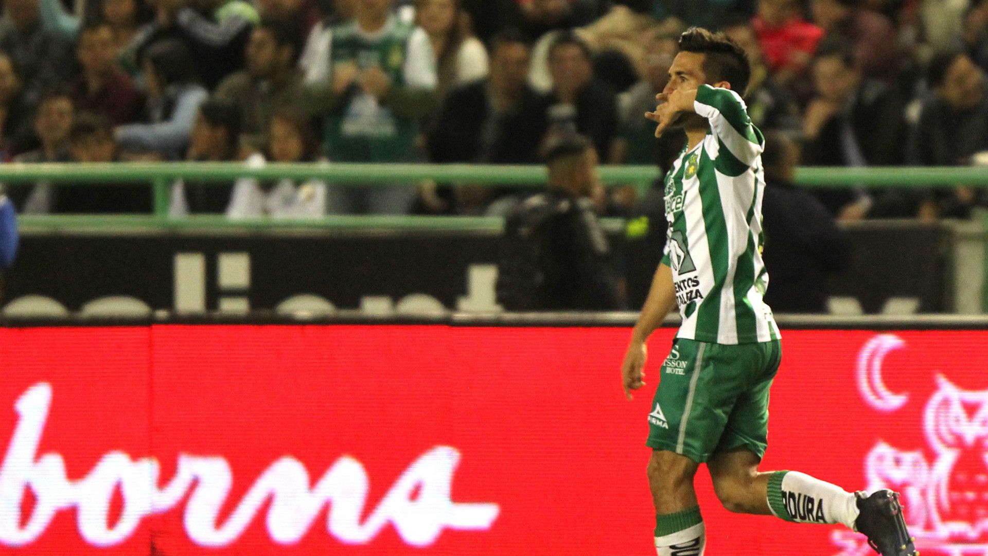 Fernando Navarro Leon