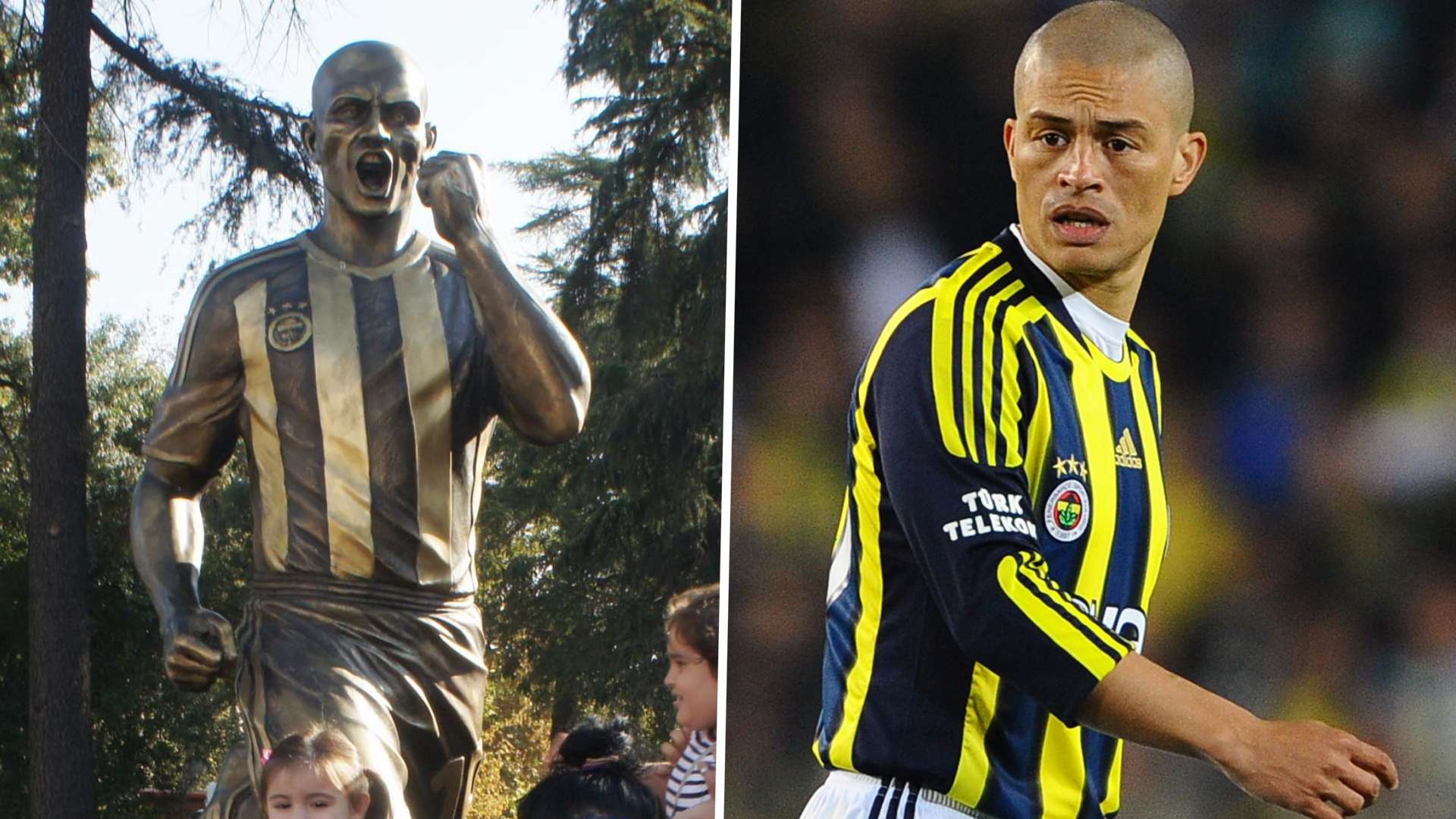 Alex de Souza Fenerbahce