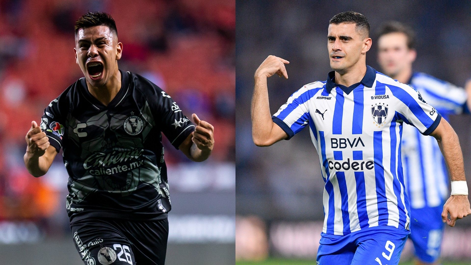 Xolos Rayados de Monterrey Clausura 2024 VIVO