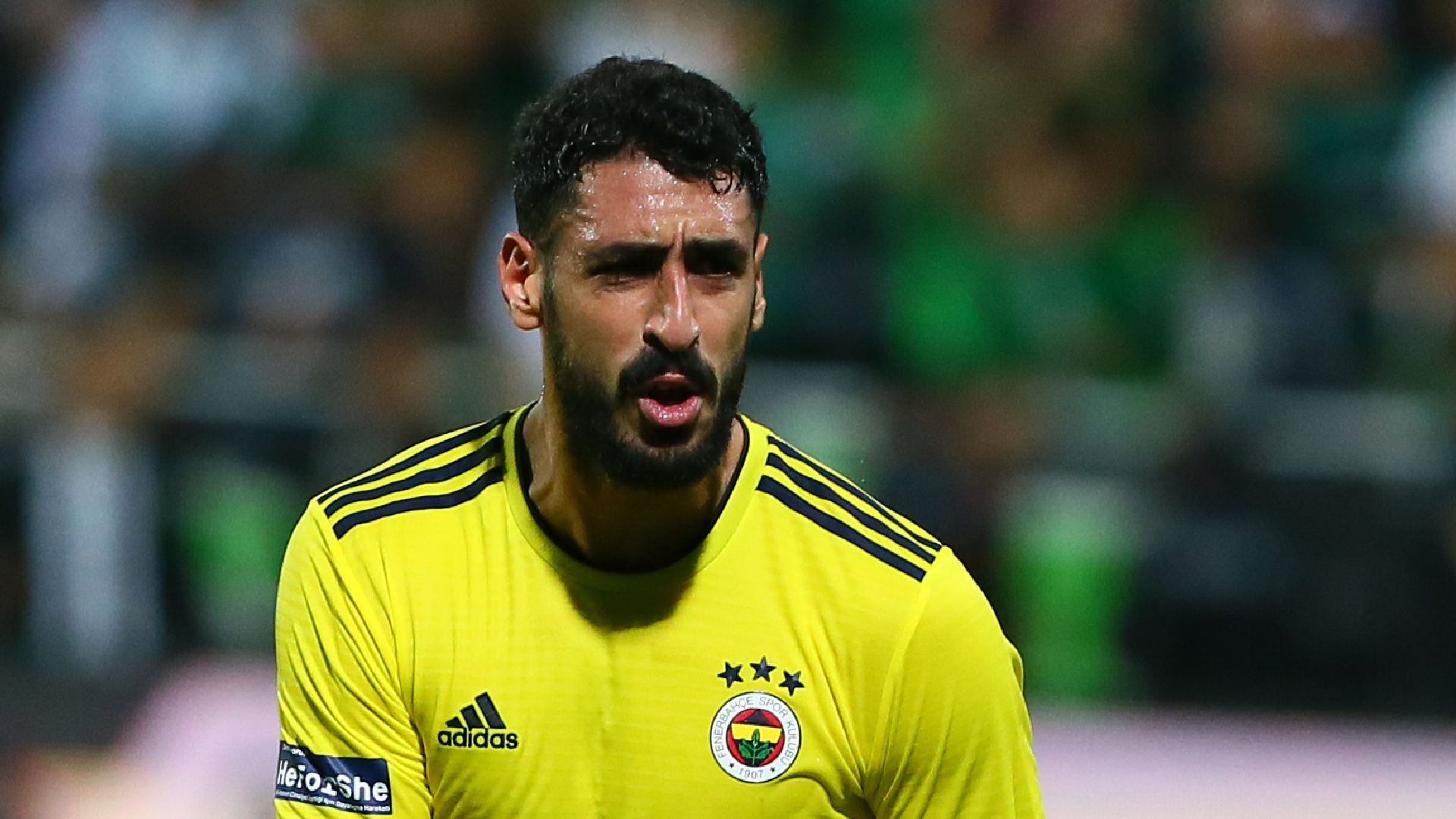 Tolga Cigerci Fenerbahce 20102019