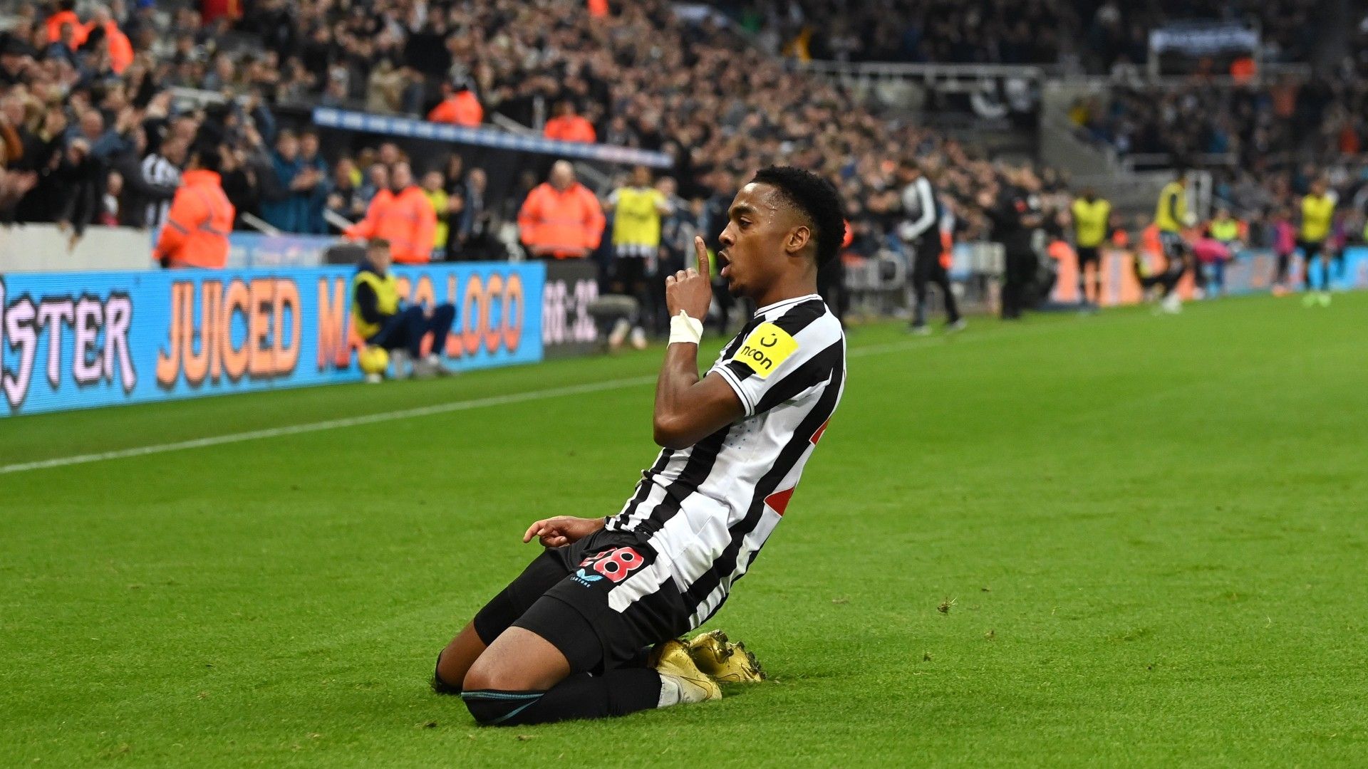 Joe Willock Newcastle Chelsea 2022-23