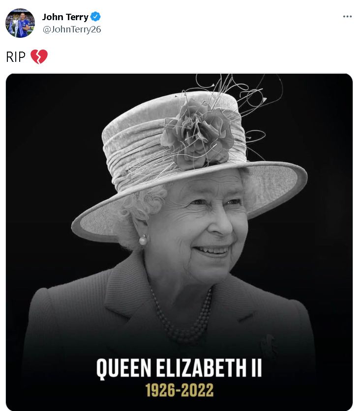 Terry Queen Screenshot