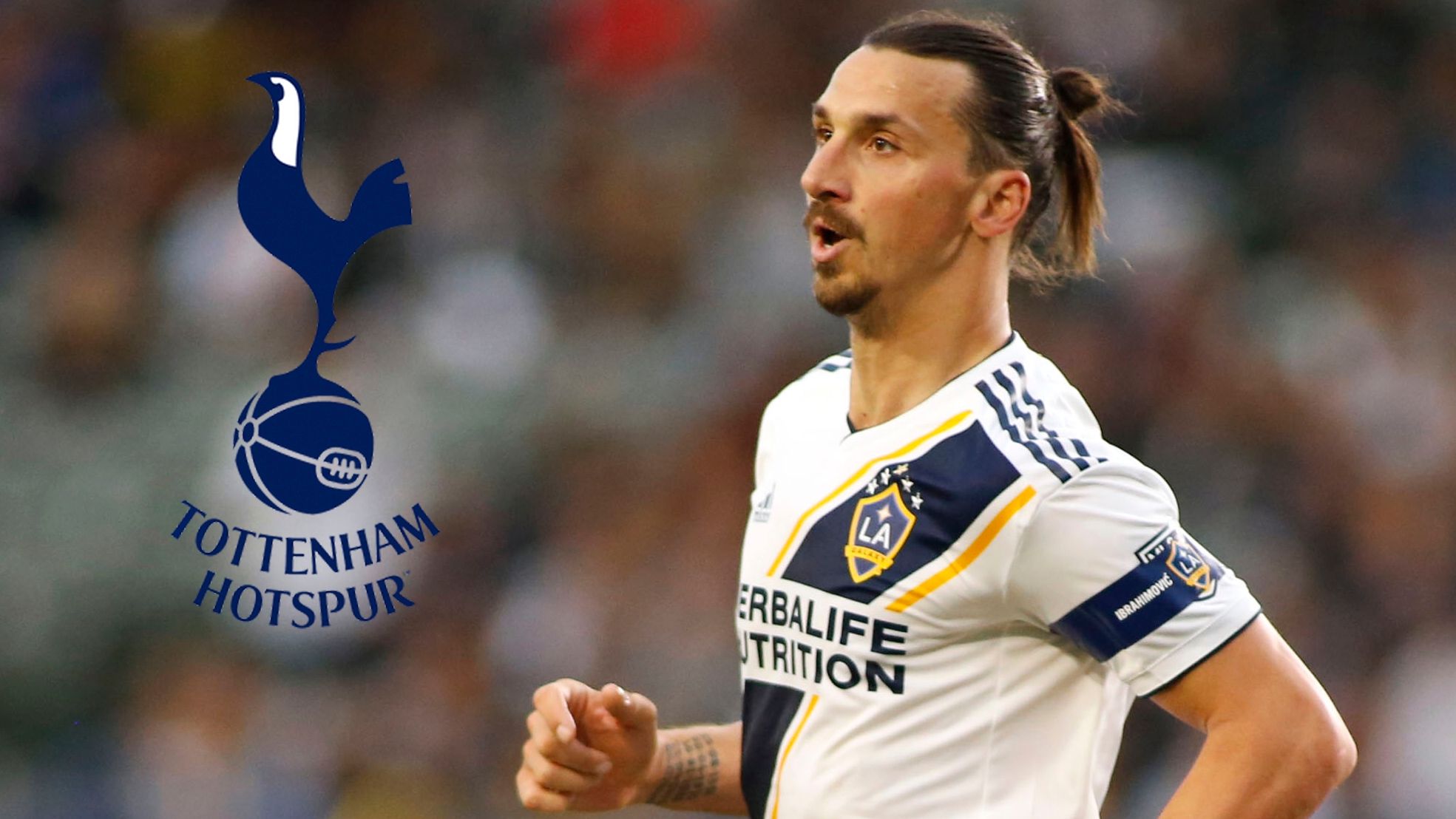 Ibrahimovic Tottenham