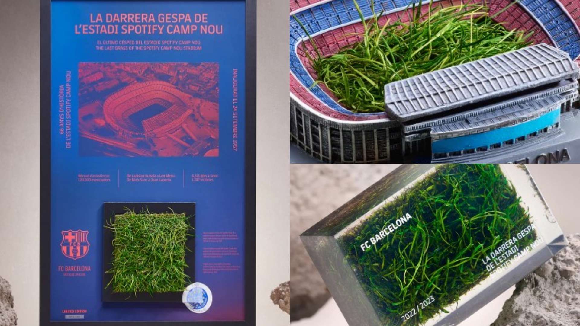 Barcelona Camp Nou grass