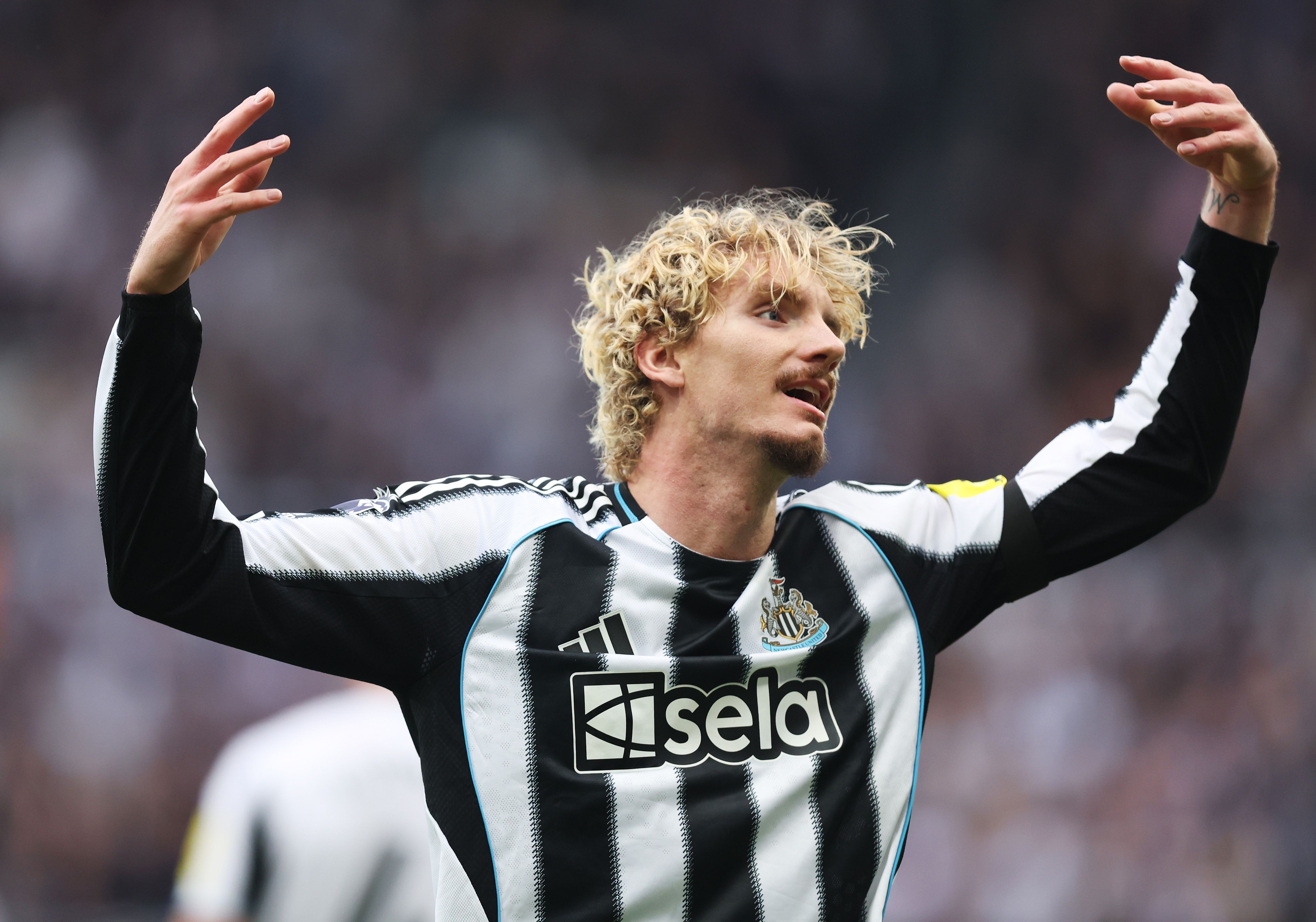 肘打ち被害を受けたとされるニューカッスルFWヴォルテマーデ