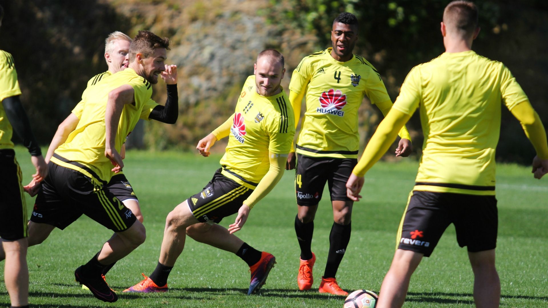 Wellington Phoenix A-League 24012017