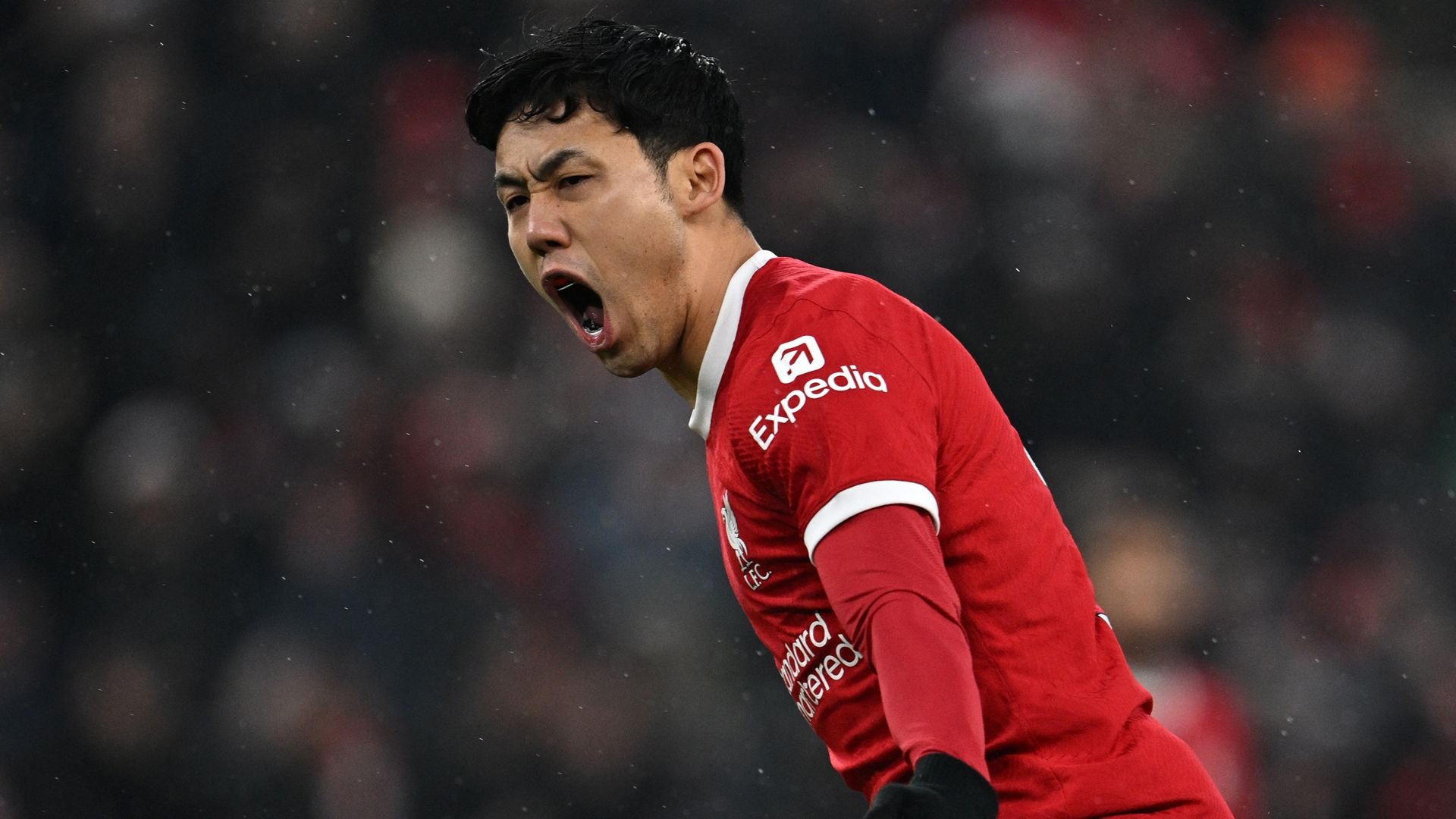 リバプール　遠藤航選手　サイン入り　サッカースパイク サッカーショップKAMO限定”のFUTURE 7！！ 遠藤航選手のサイン
