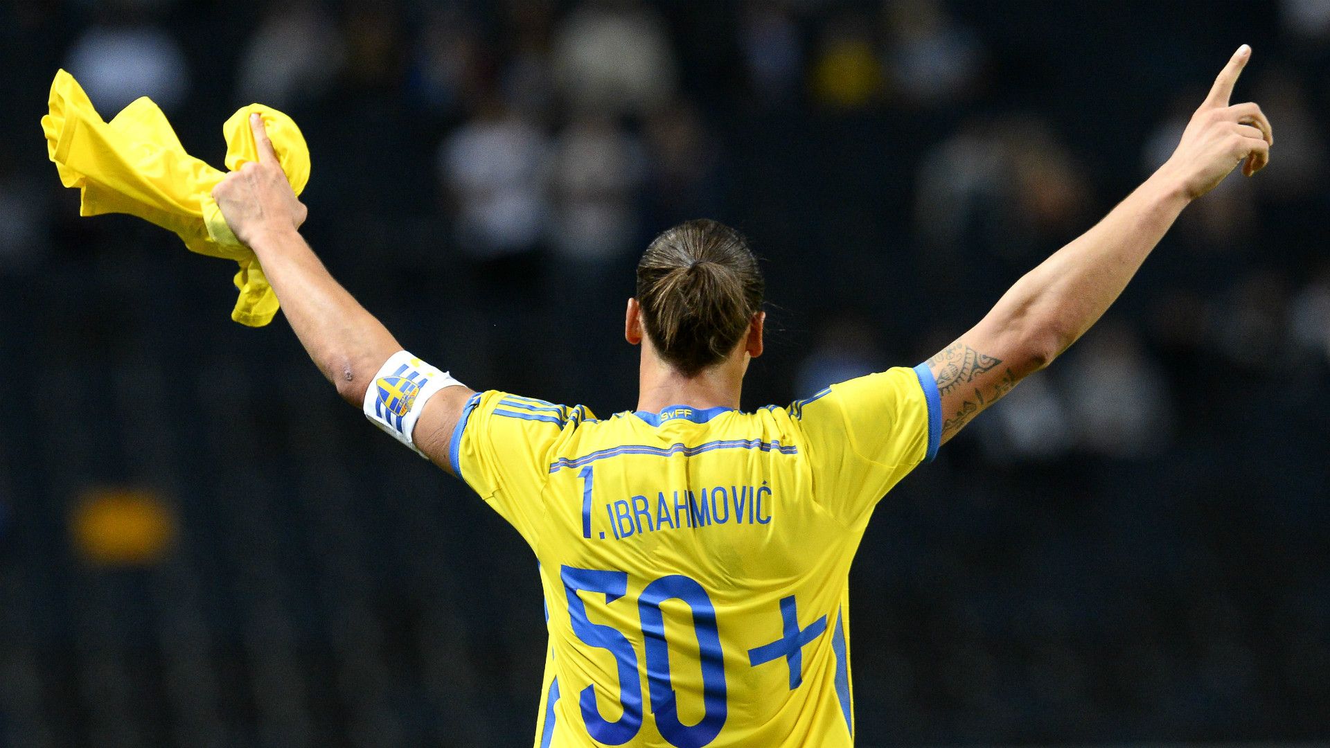 Zlatan Ibrahimovic Sweden