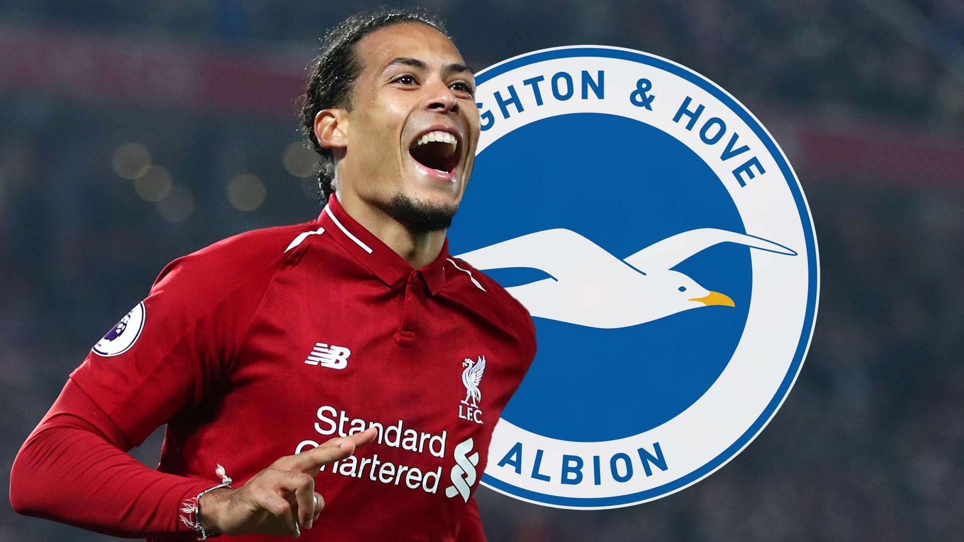 Virgil van Dijk Liverpool Brighton