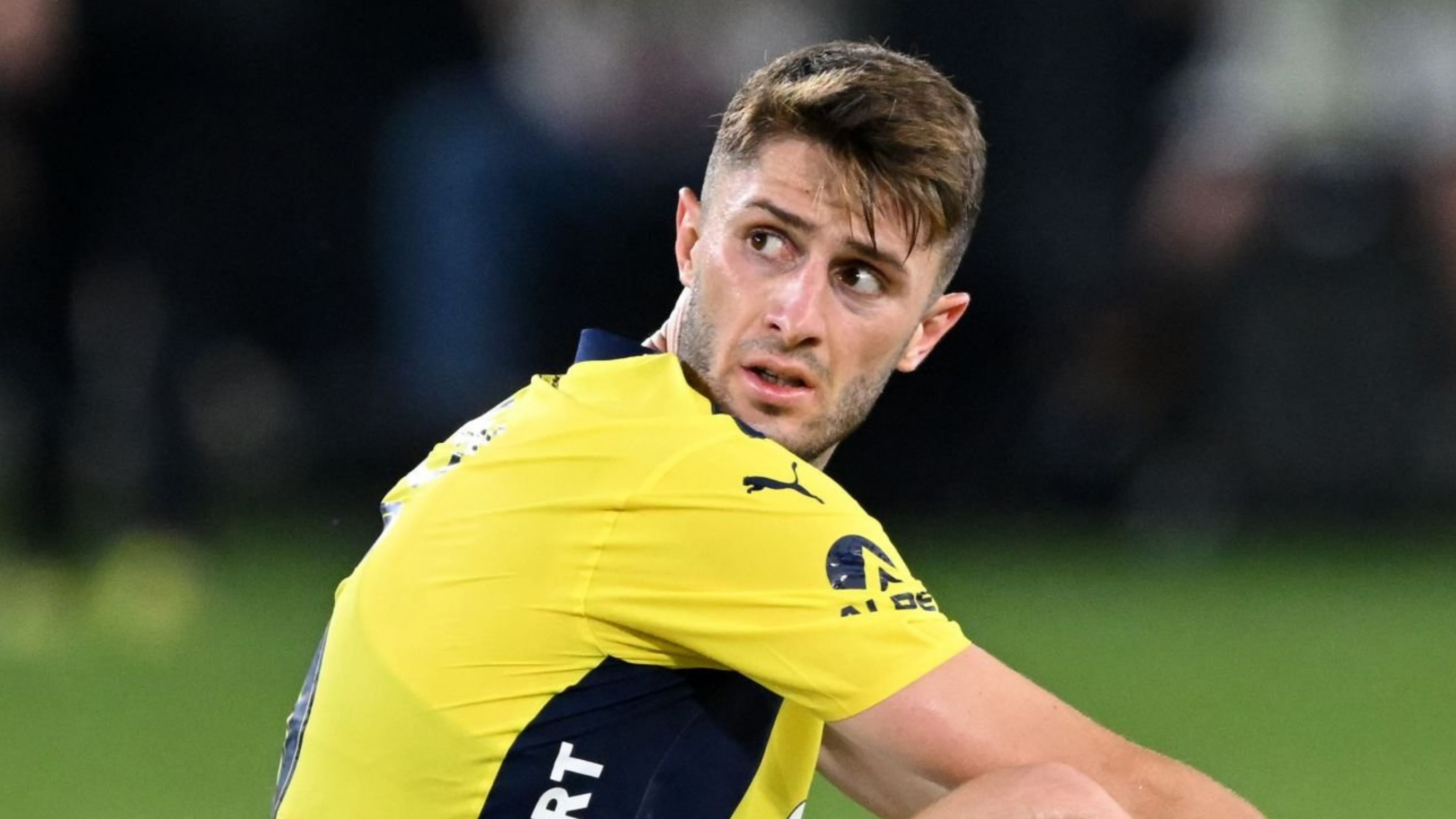 ismail yuksek fenerbahce