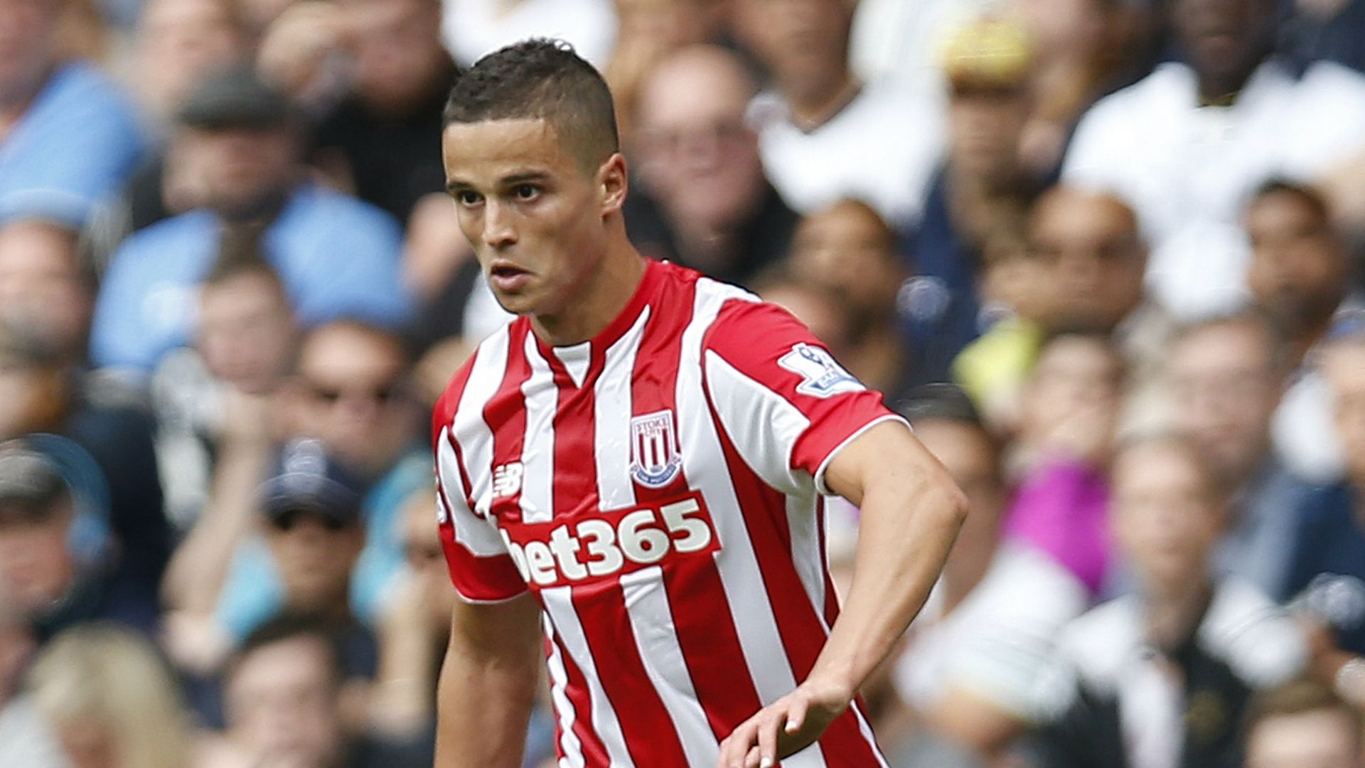 Ibrahim Afellay Stoke City Premier League