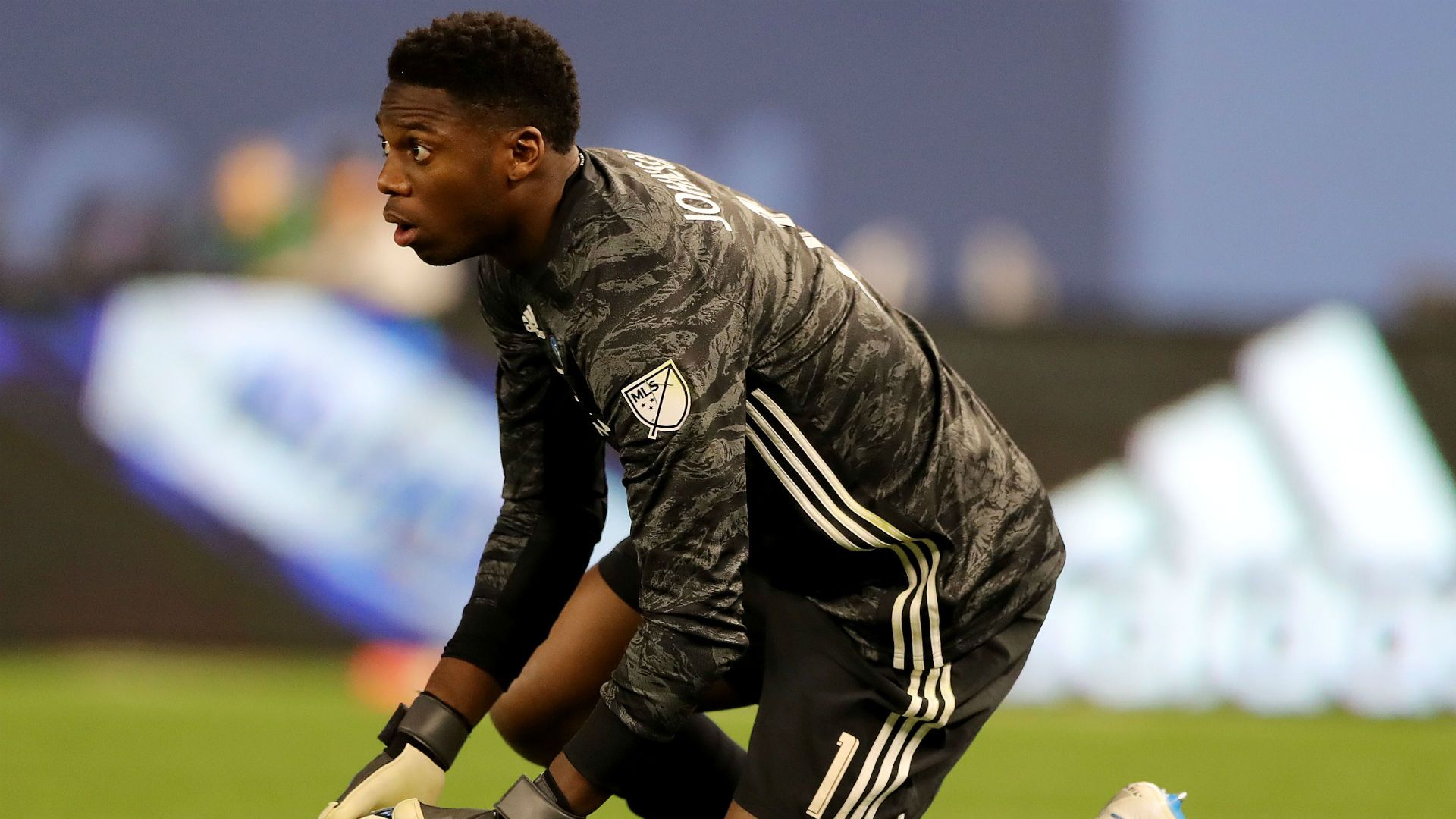 Sean Johnson New York City FC MLS 2019