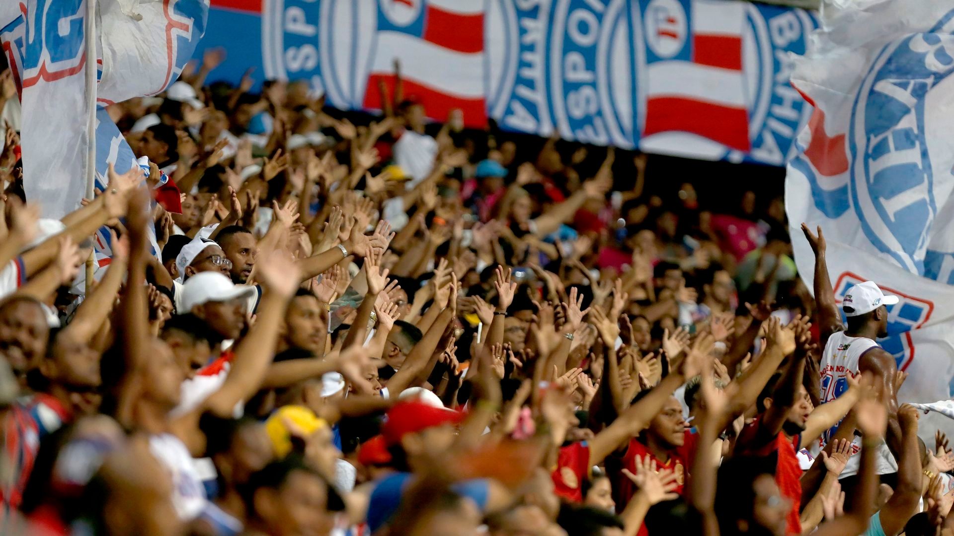 Torcida do Bahia, 2023