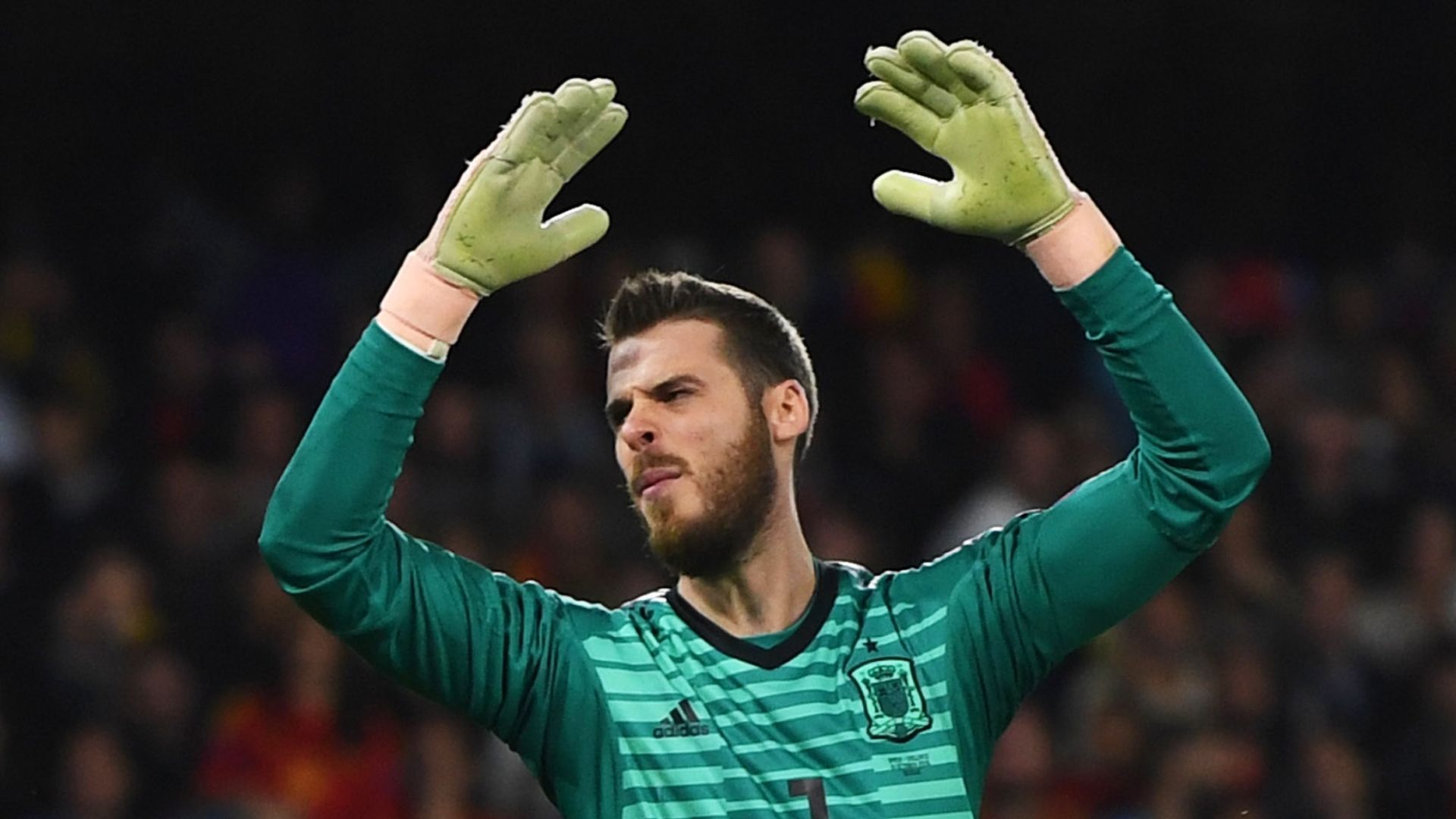David De Gea, Spain