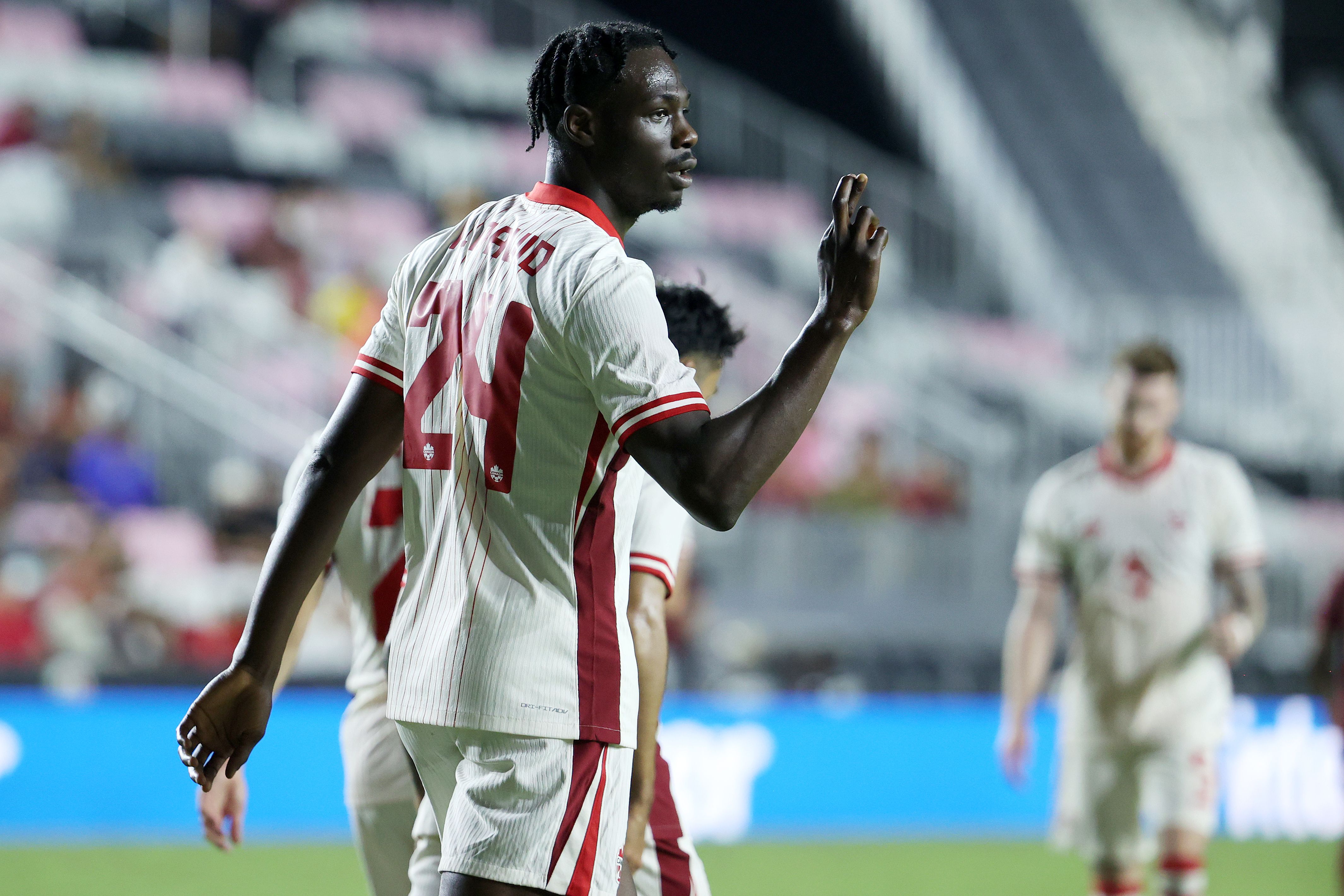 Promise David Canada