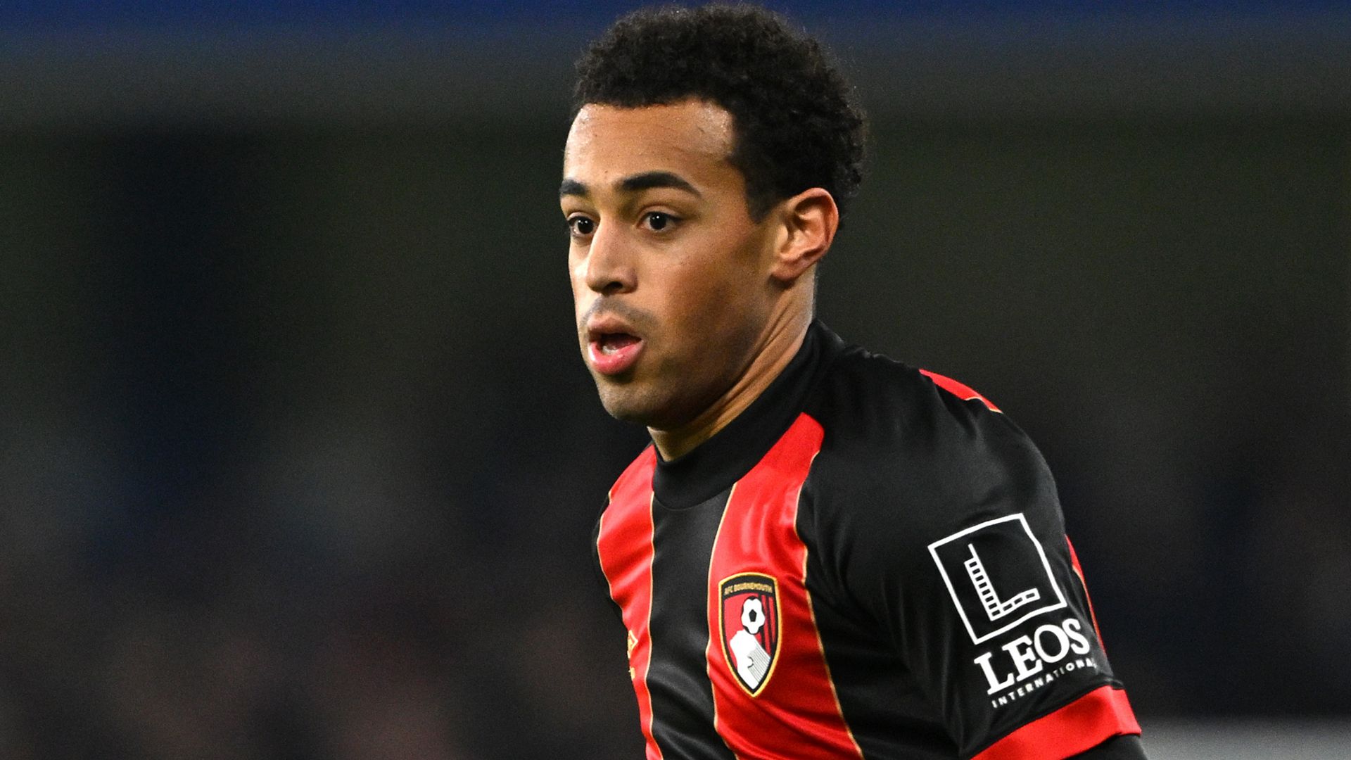 Tyler Adams Bournemouth 2024-25