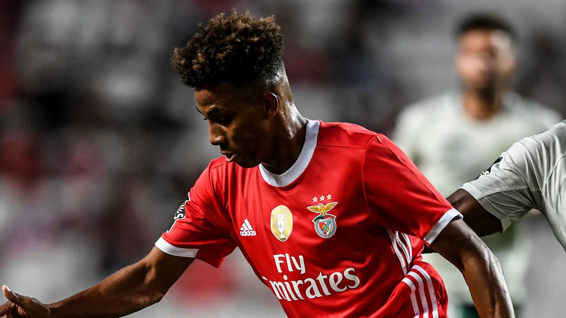 Gedson Fernandes Benfica 2019-20