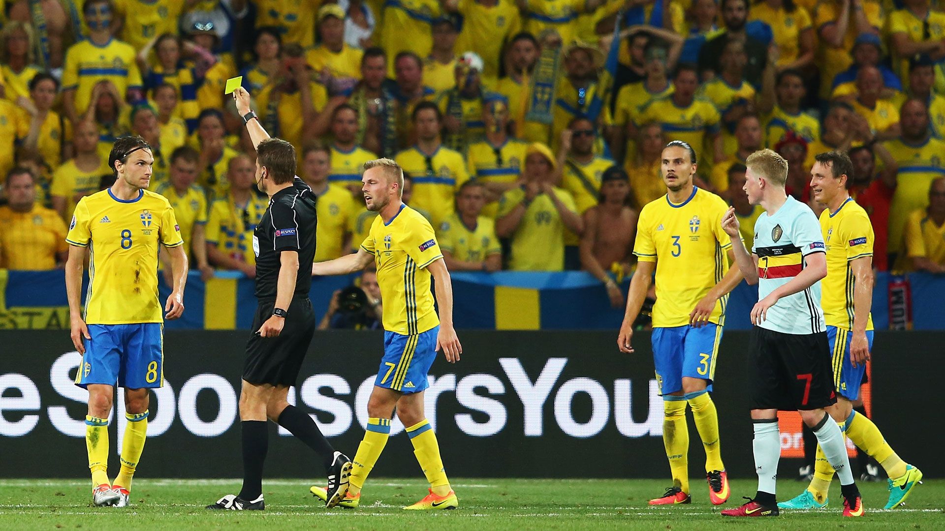 Felix Brych Schweden Belgien 22062016