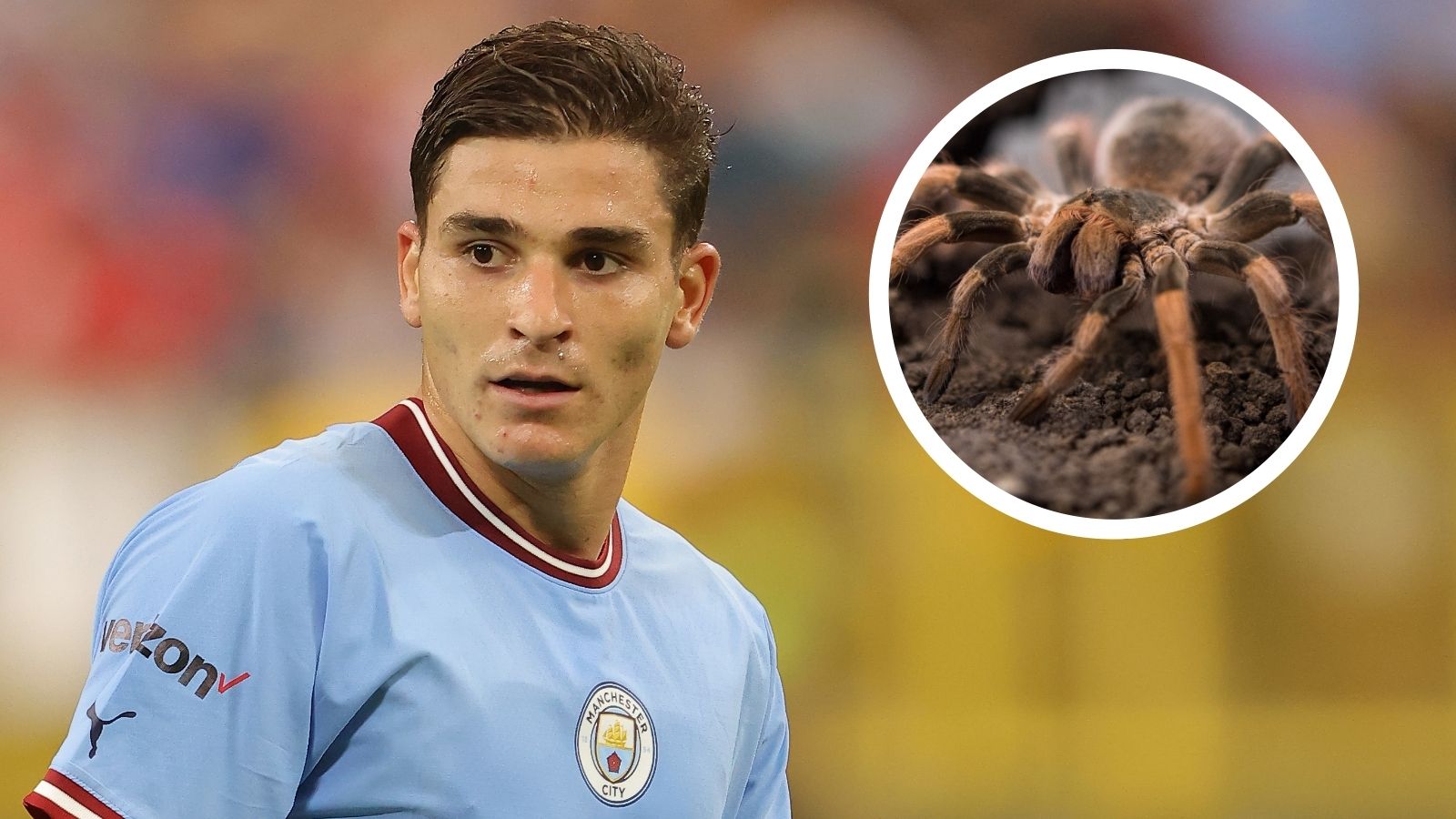 Julian Alvarez Manchester City spider