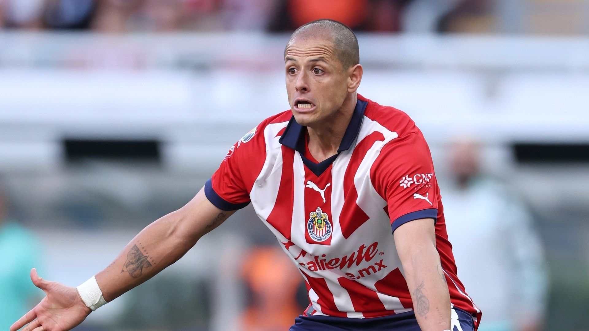Chicharito Chivas Clausura 2024