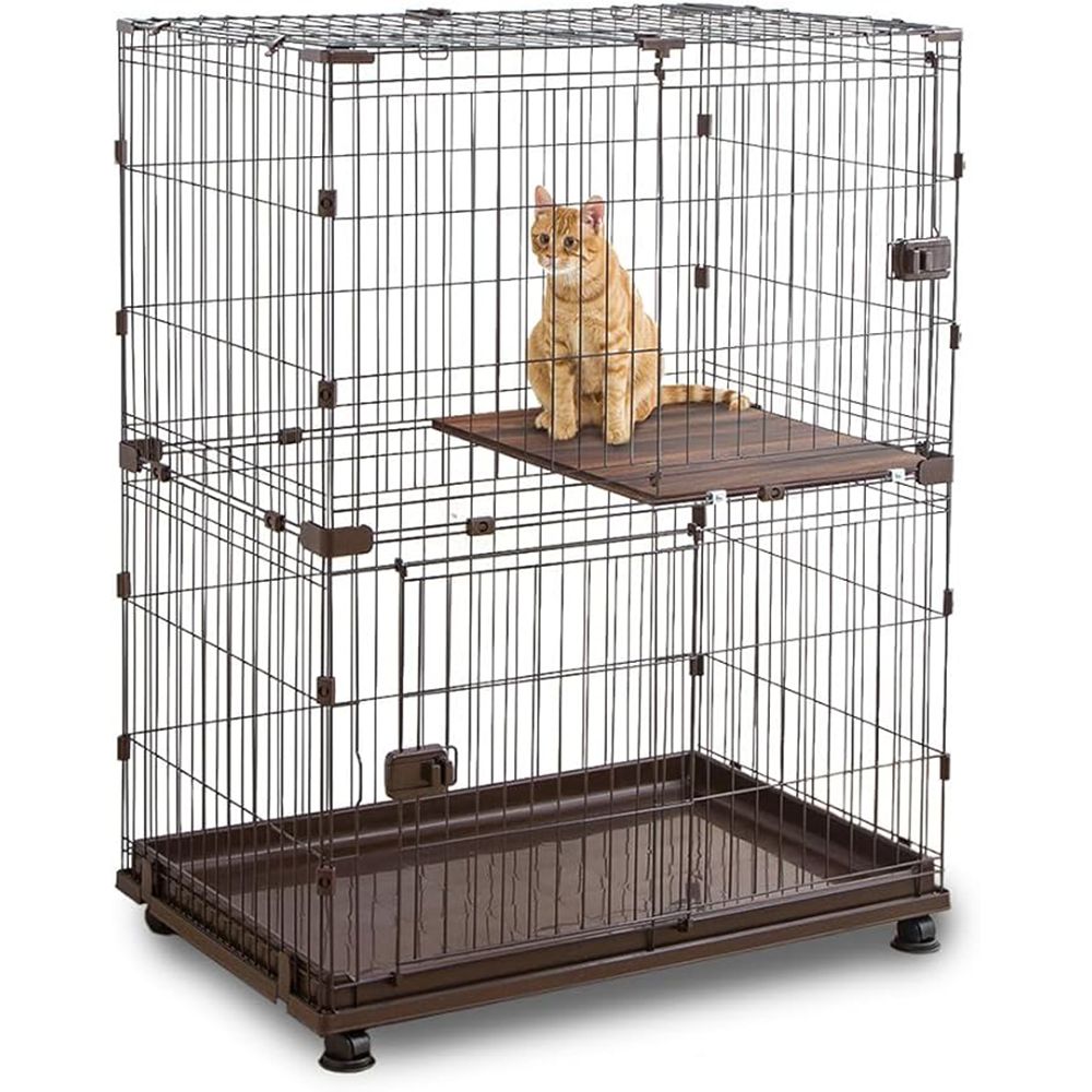 51 prime appriciate 0926