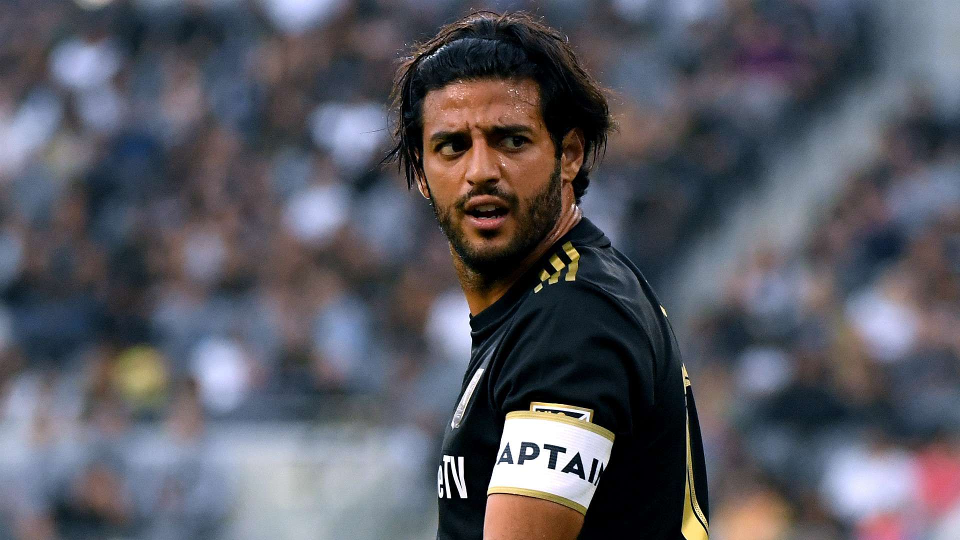 CARLOS VELA LOS ANGELES