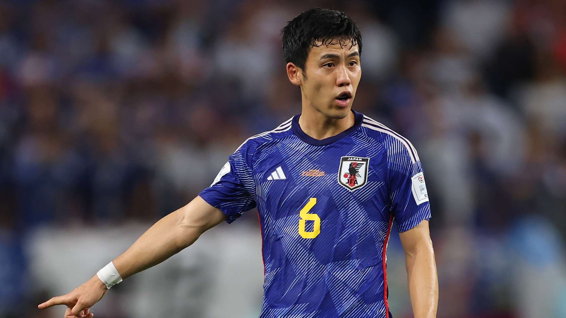 filename: 20230831_Wataru_Endo.jpg