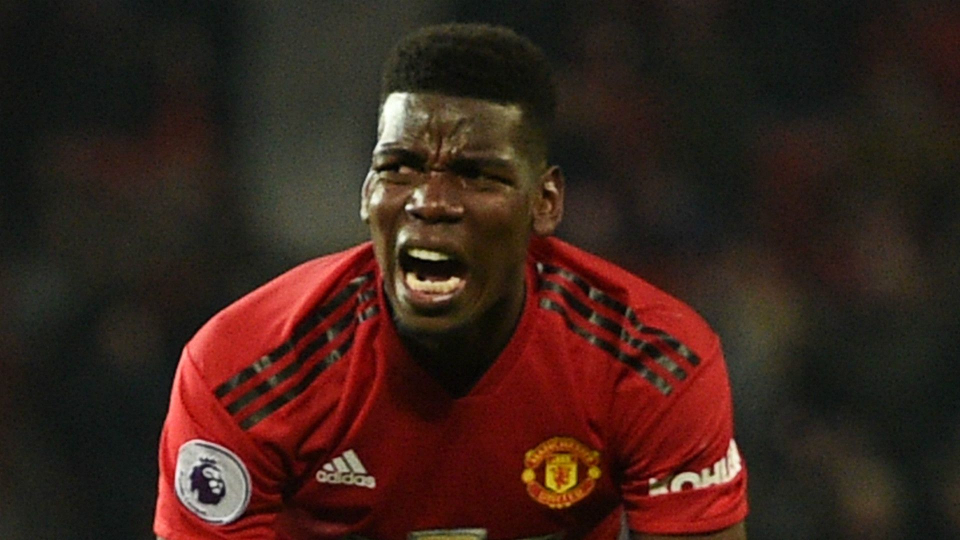 Paul Pogba Manchester United 2018-19