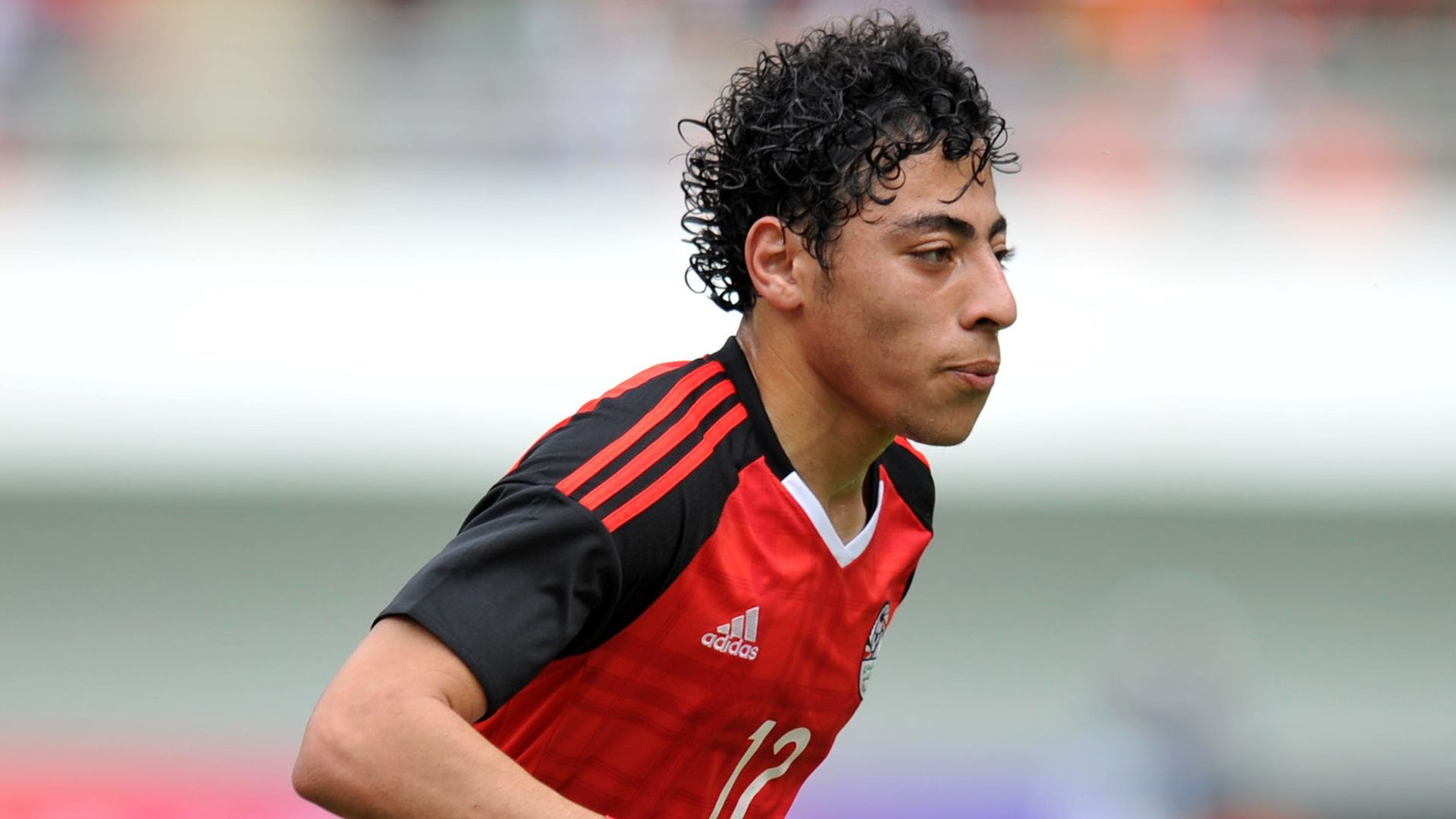 Akram Tawfik Hassan, Egypt