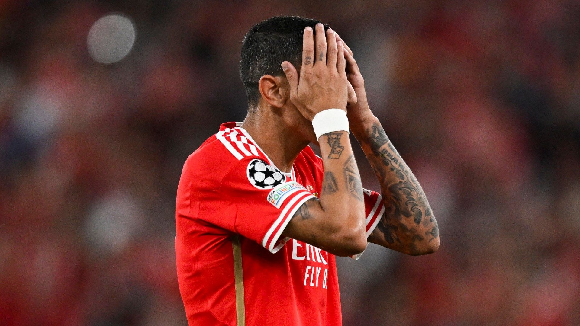 Benfica Champions League 2023-24