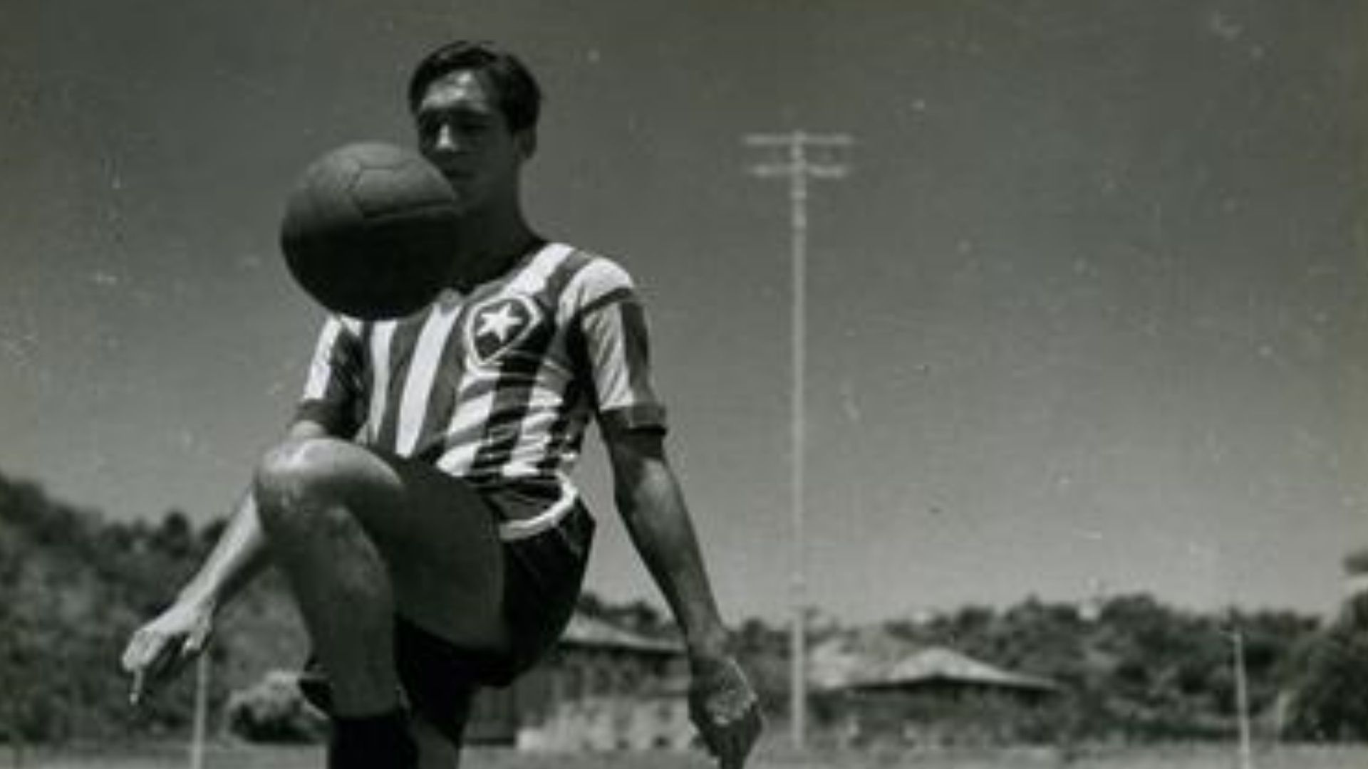 Heleno de Freitas Botafogo