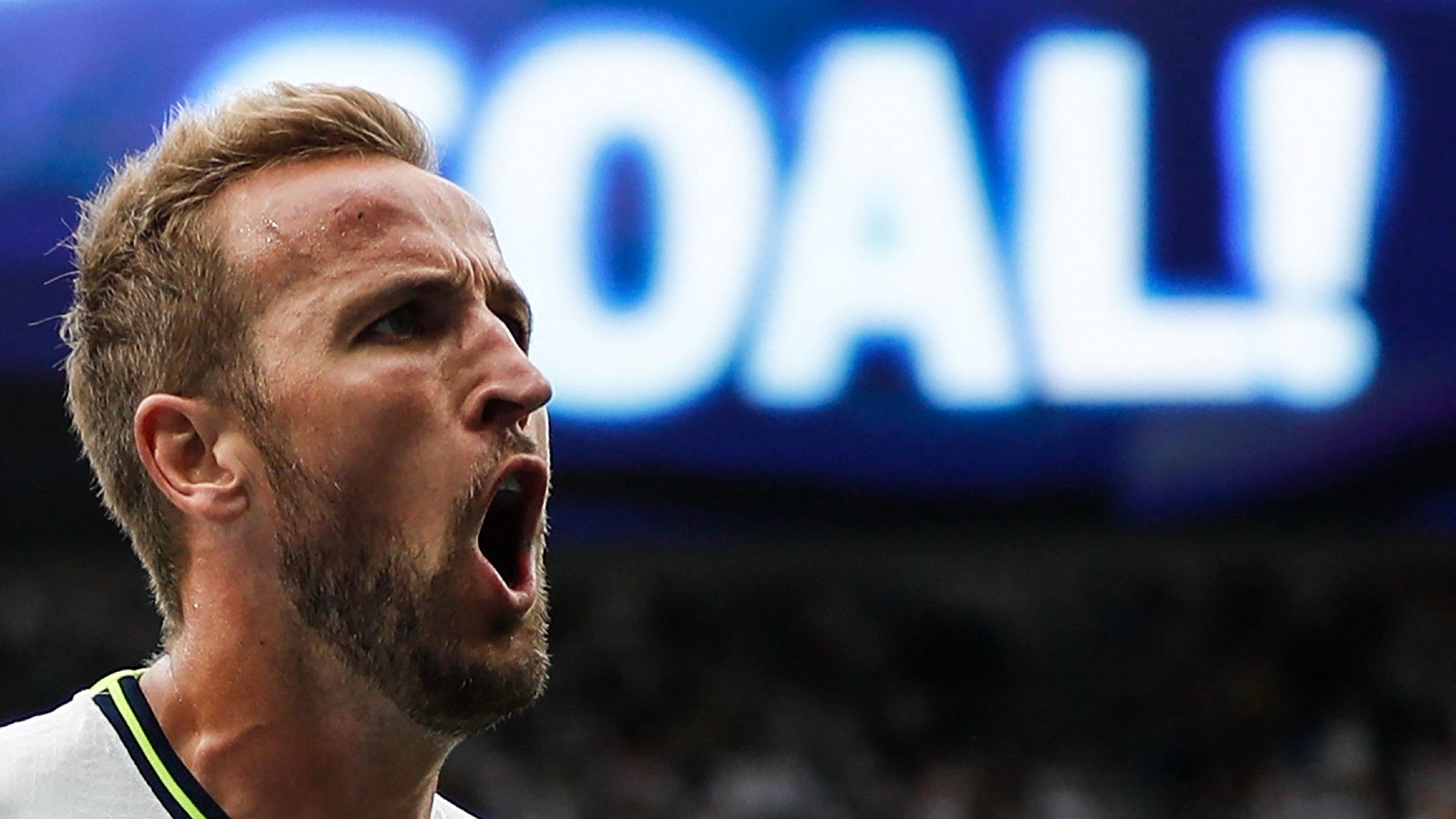 Kane Spurs Wolves 2022